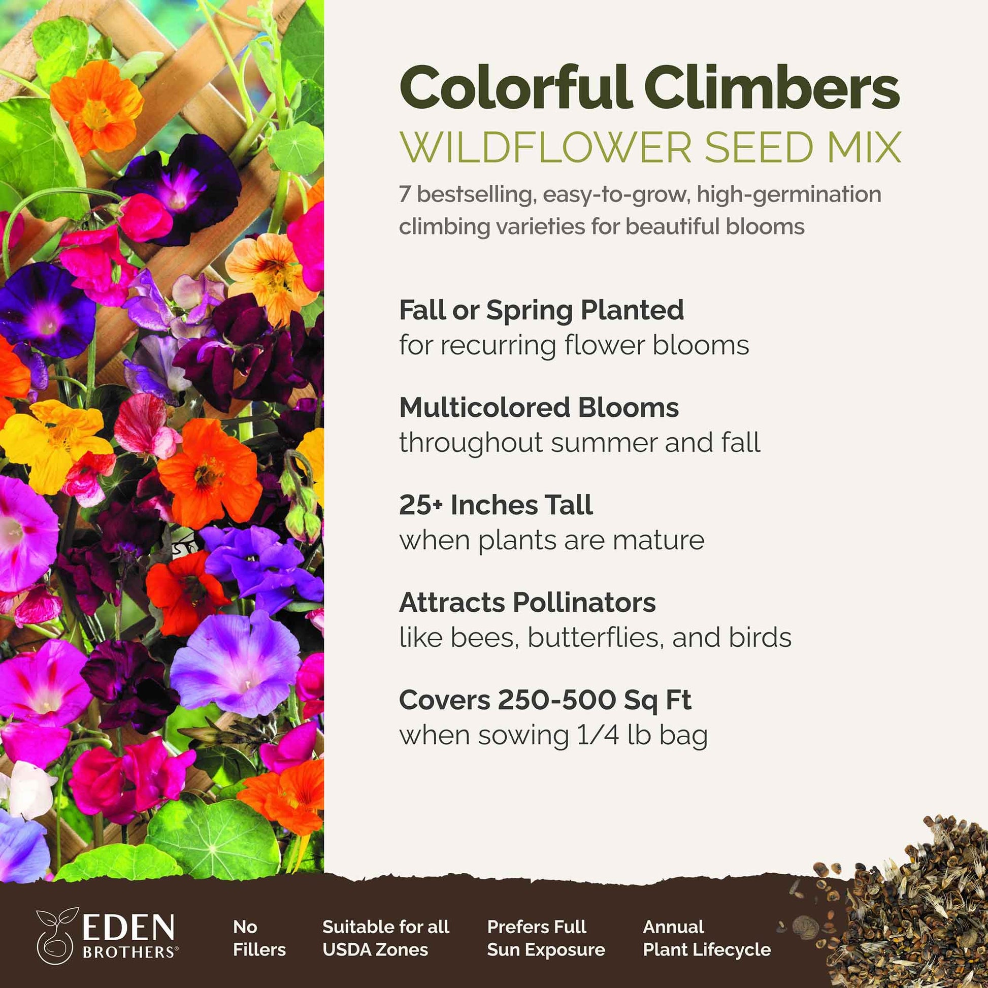 climbing plants from seed Bulk Colorful Climbers Flower Seed Mix