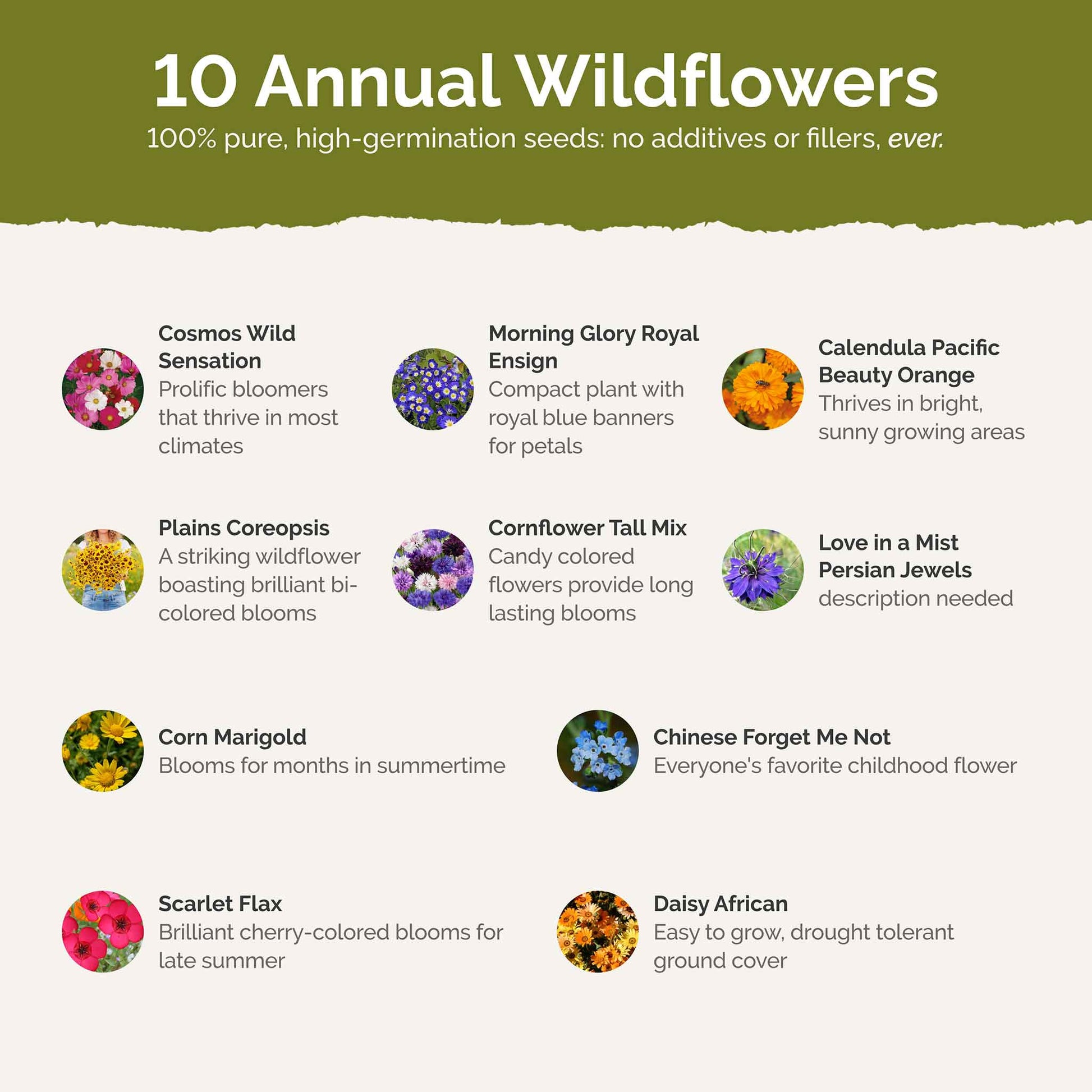 country garden and seeds Bulk Country Garden Flower Seed Mix