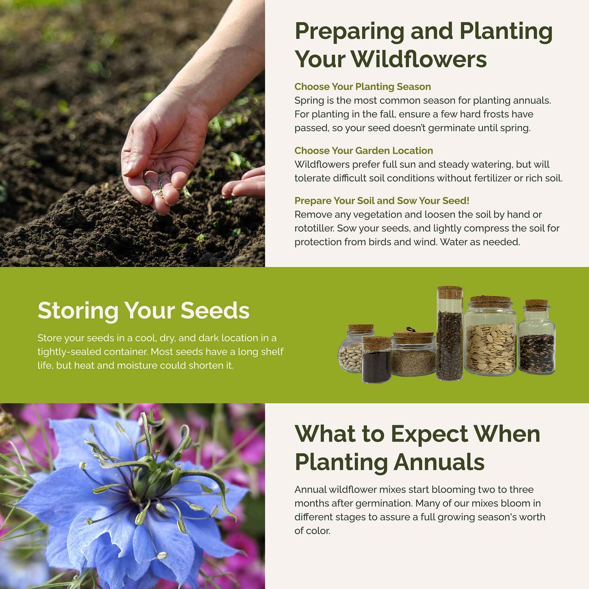 country garden and seeds Bulk Country Garden Flower Seed Mix