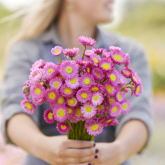 Person holding a bouquet of paper daisy brilliant rose flowers in a garden setting