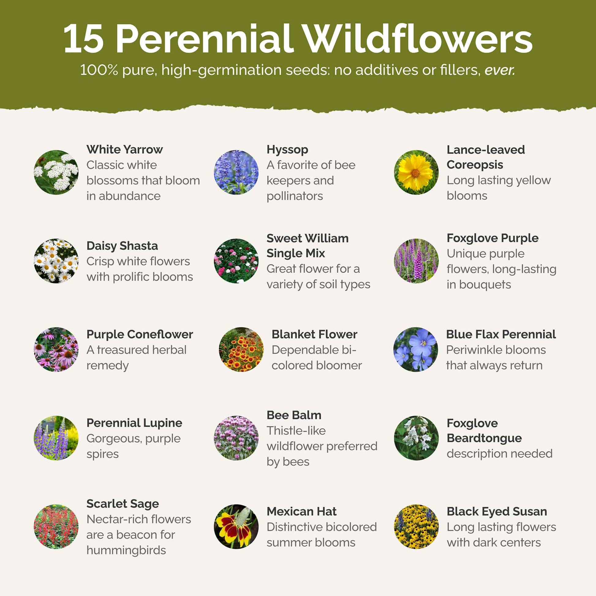 deer resistant wildflower seeds Bulk Deer Resistant All Perennial Wildflower Seed Mix