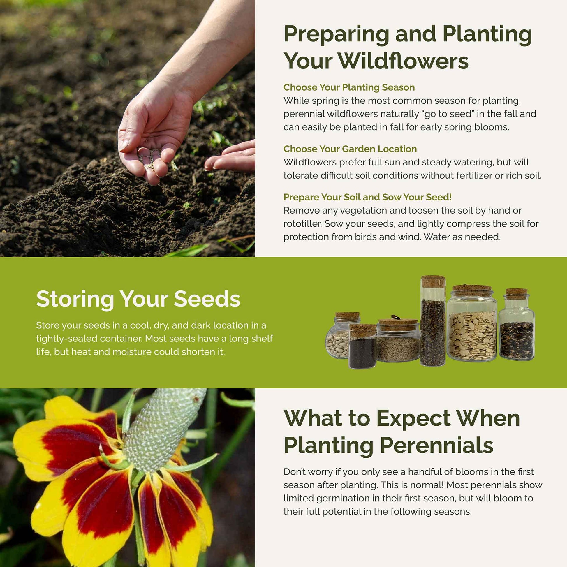 watering wildflower seeds Bulk Deer Resistant All Perennial Wildflower Seed Mix