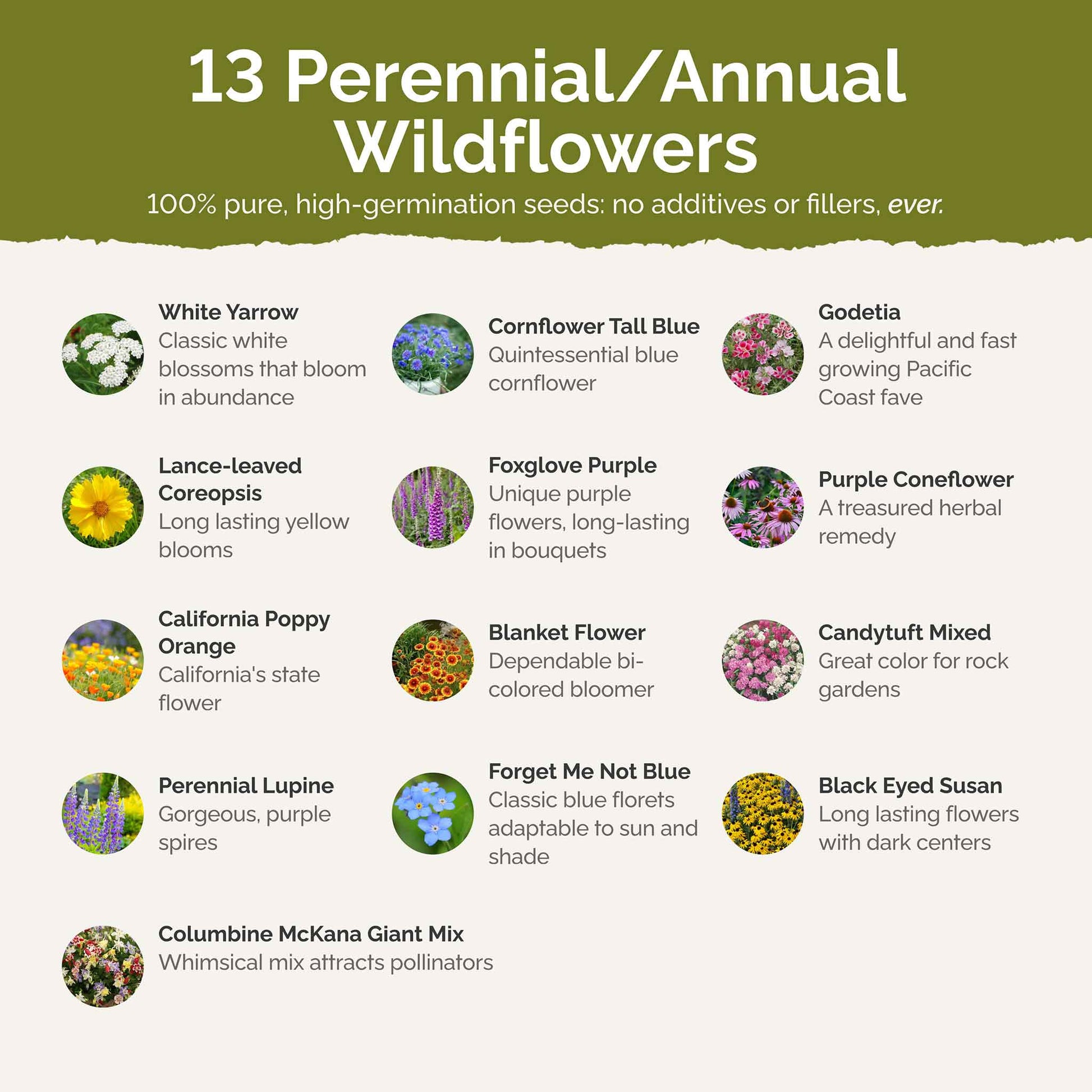wildflower seeds shade deer resistant Bulk Deer Resistant Wildflower Seed Mix 25 Pounds