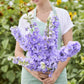 Person holding a bouquet of delphinium aurora lavender flowers in a garden setting