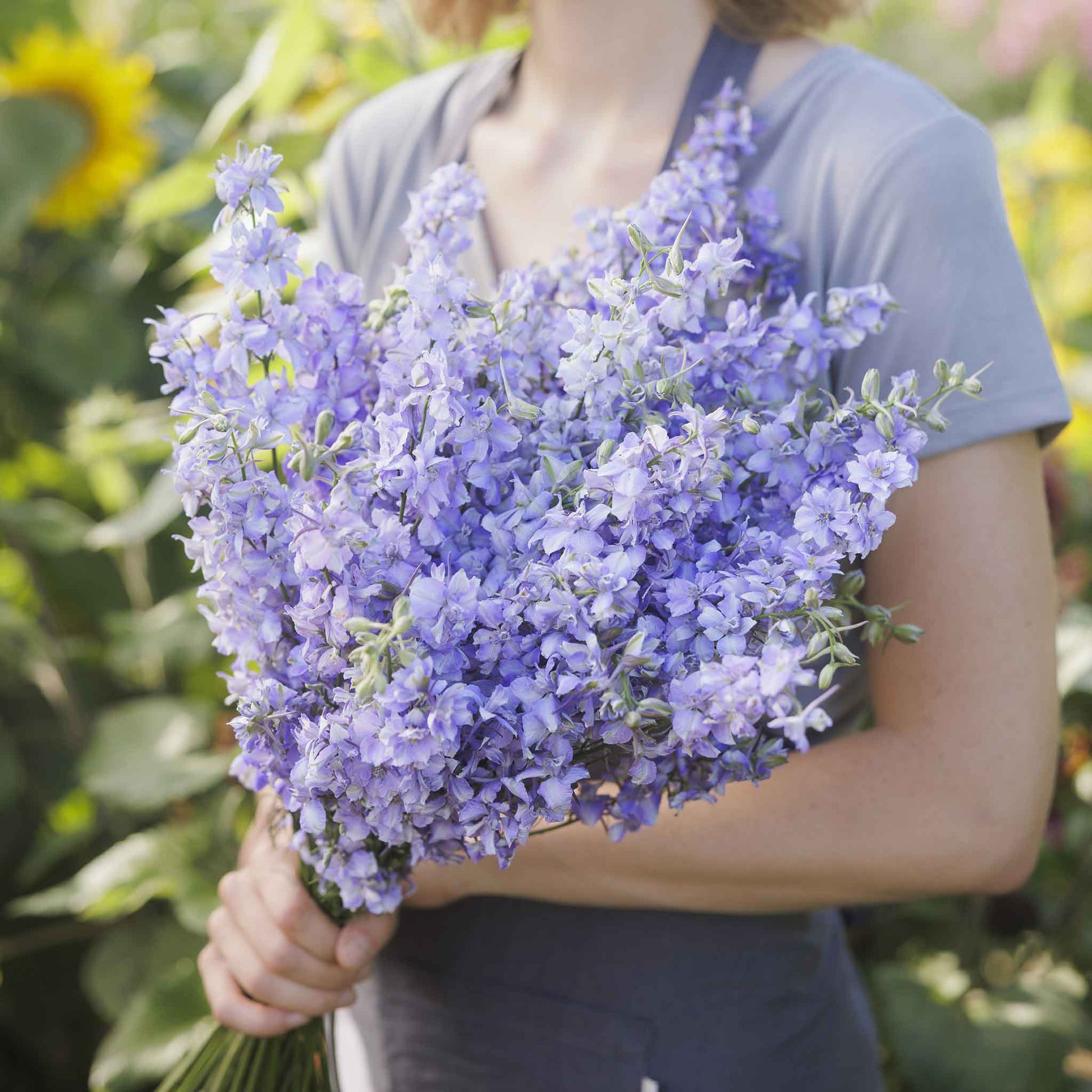 blue bell flower seeds Bulk Delphinium Seeds