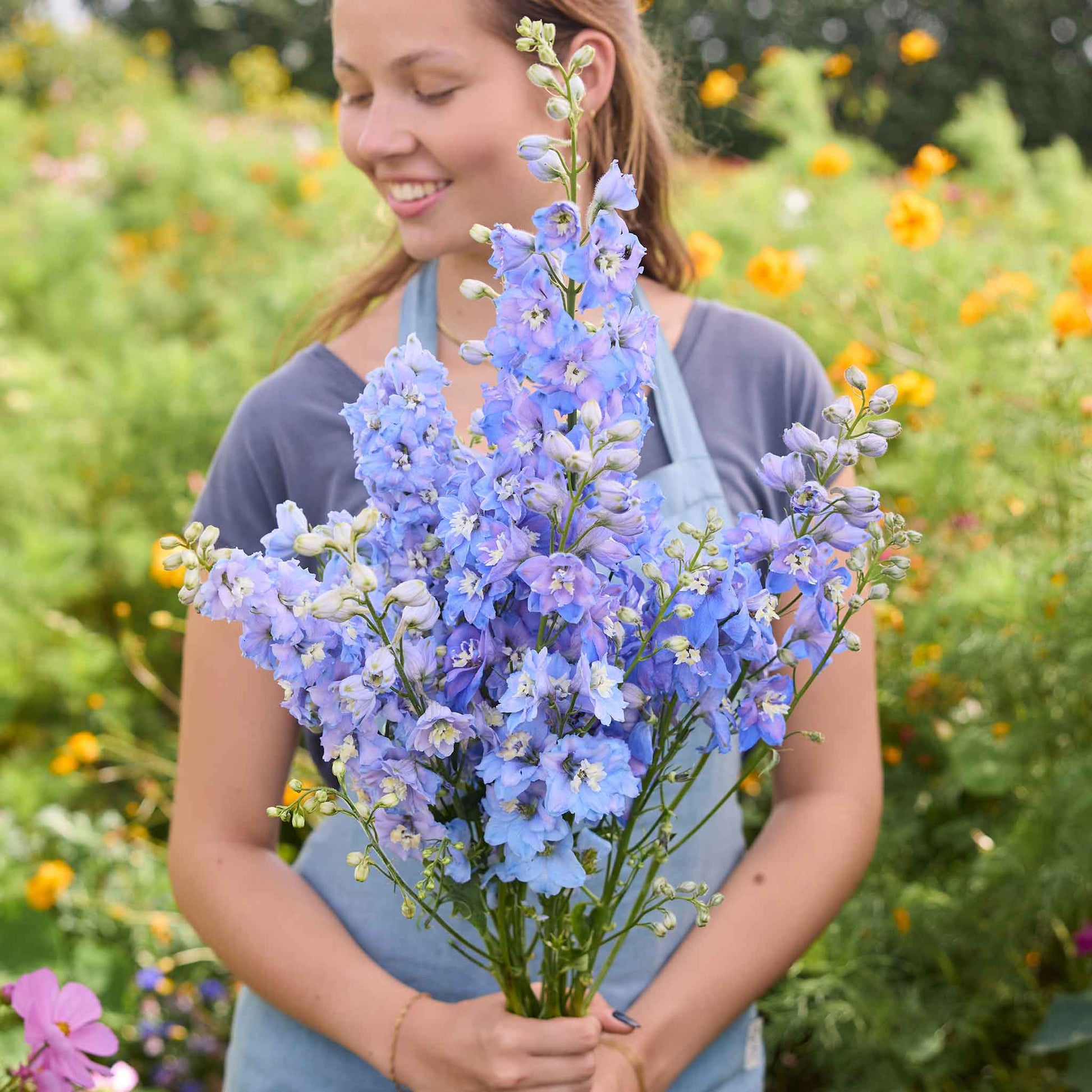 delphinium flower seeds Bulk Delphinium Seeds - Magic Fountains Light Blue White Bee | Flower Seeds in Packets & Bulk
