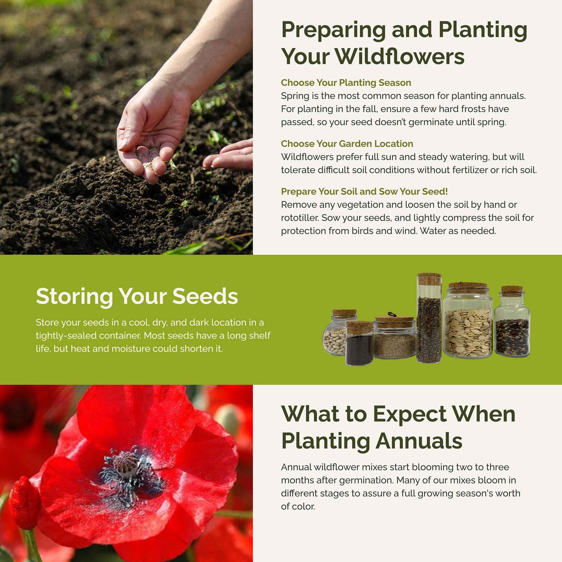 sowing wildflower seeds in summer Bulk Annual Succession Mix