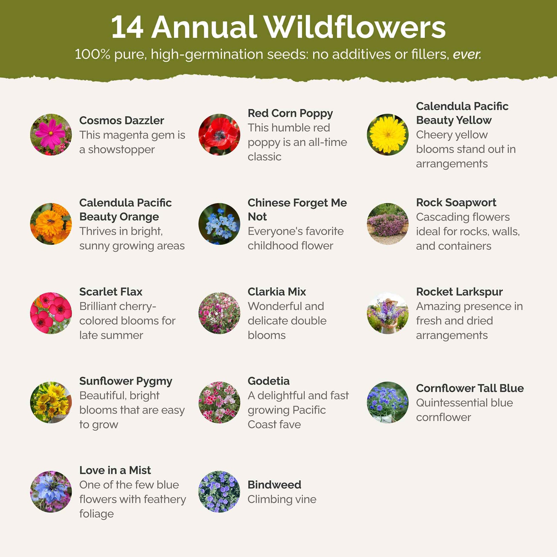 flower seeds list Bulk Fairytale Flower Seed Mix