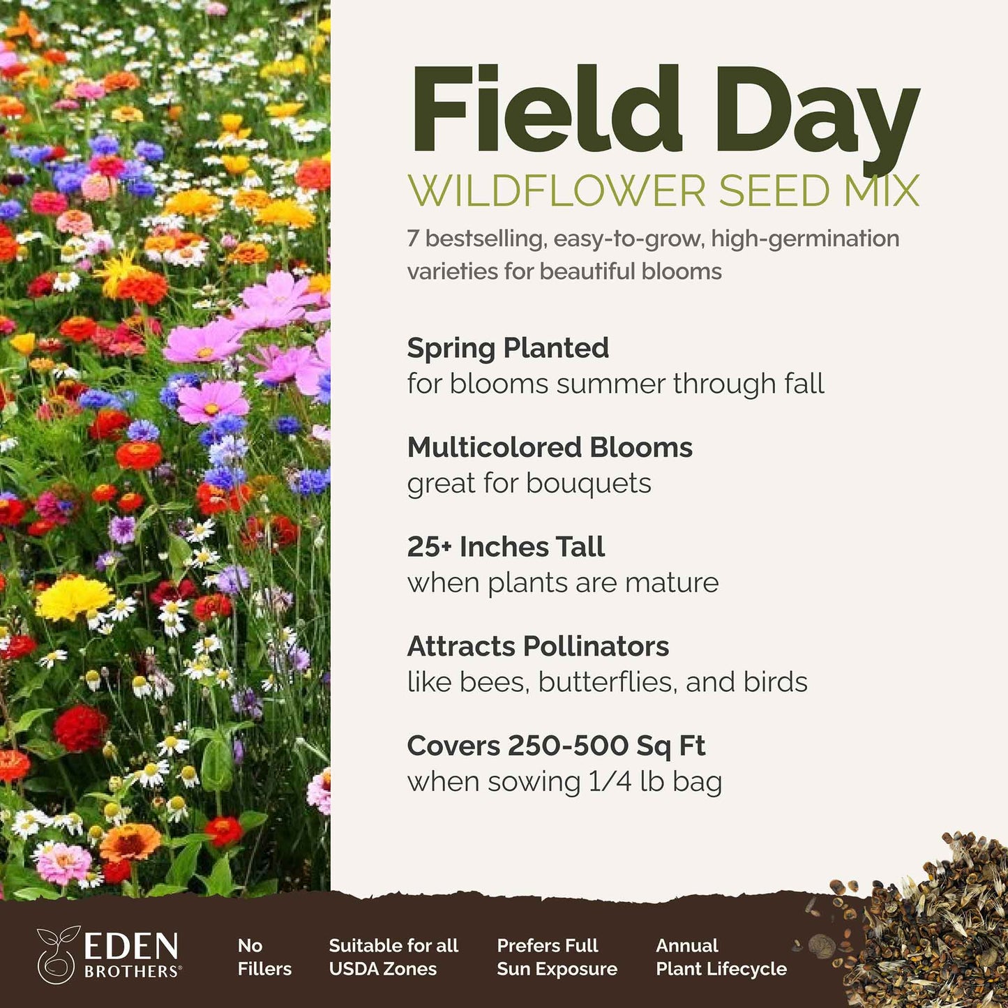 field day overview