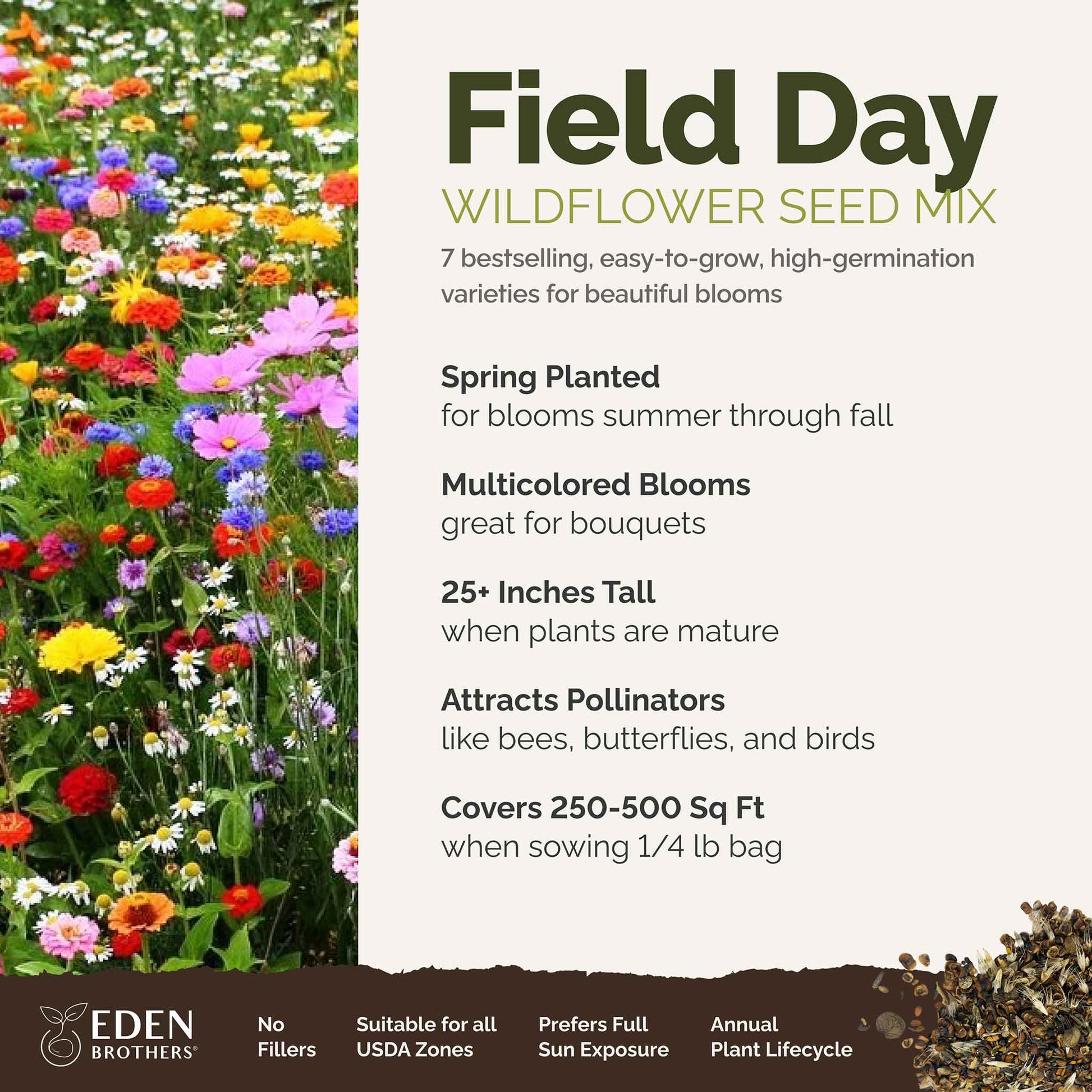 field flower seeds Bulk Field Day Flower Seed Mix