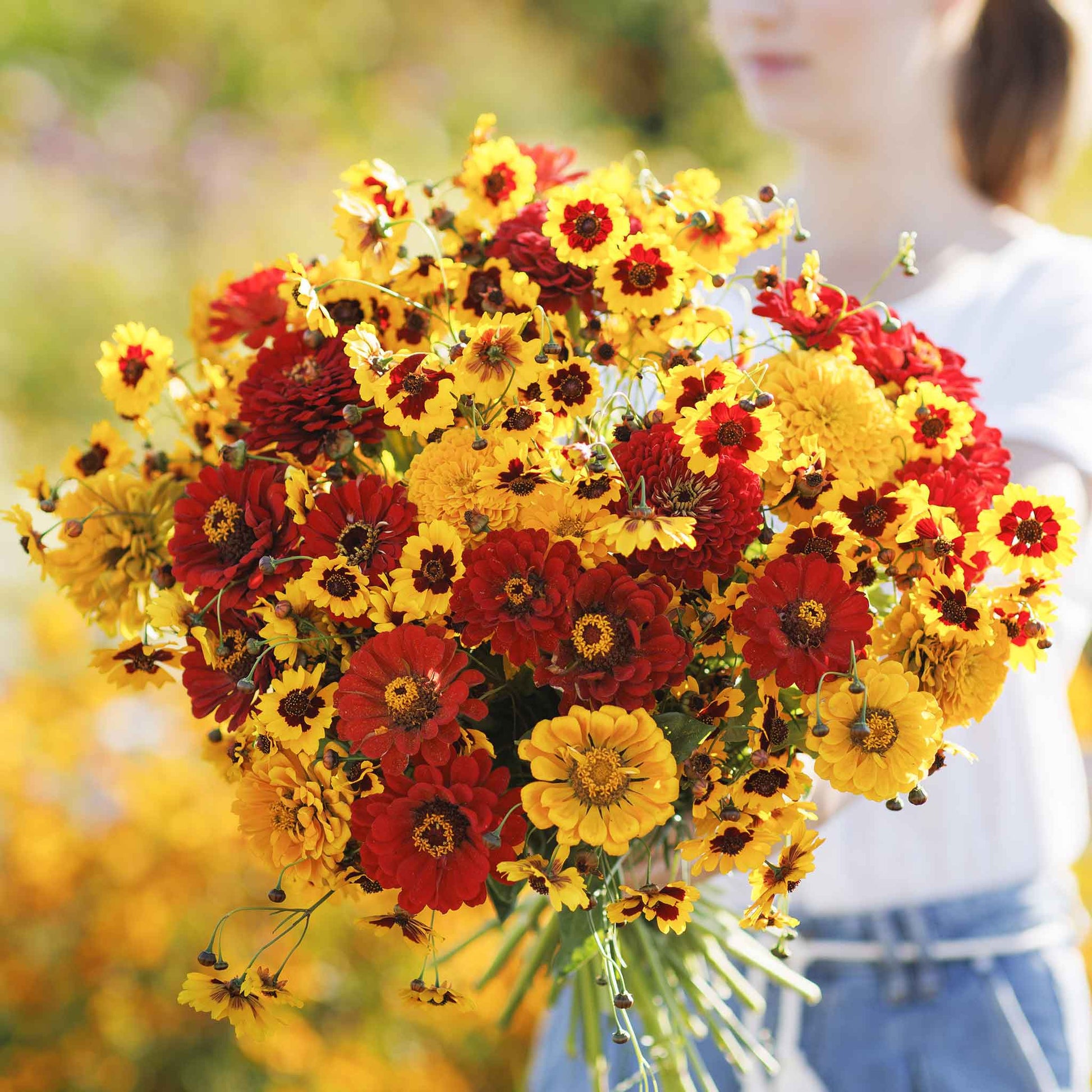 bulk flower seed Bulk Yellow & Red Flower Seed Mix