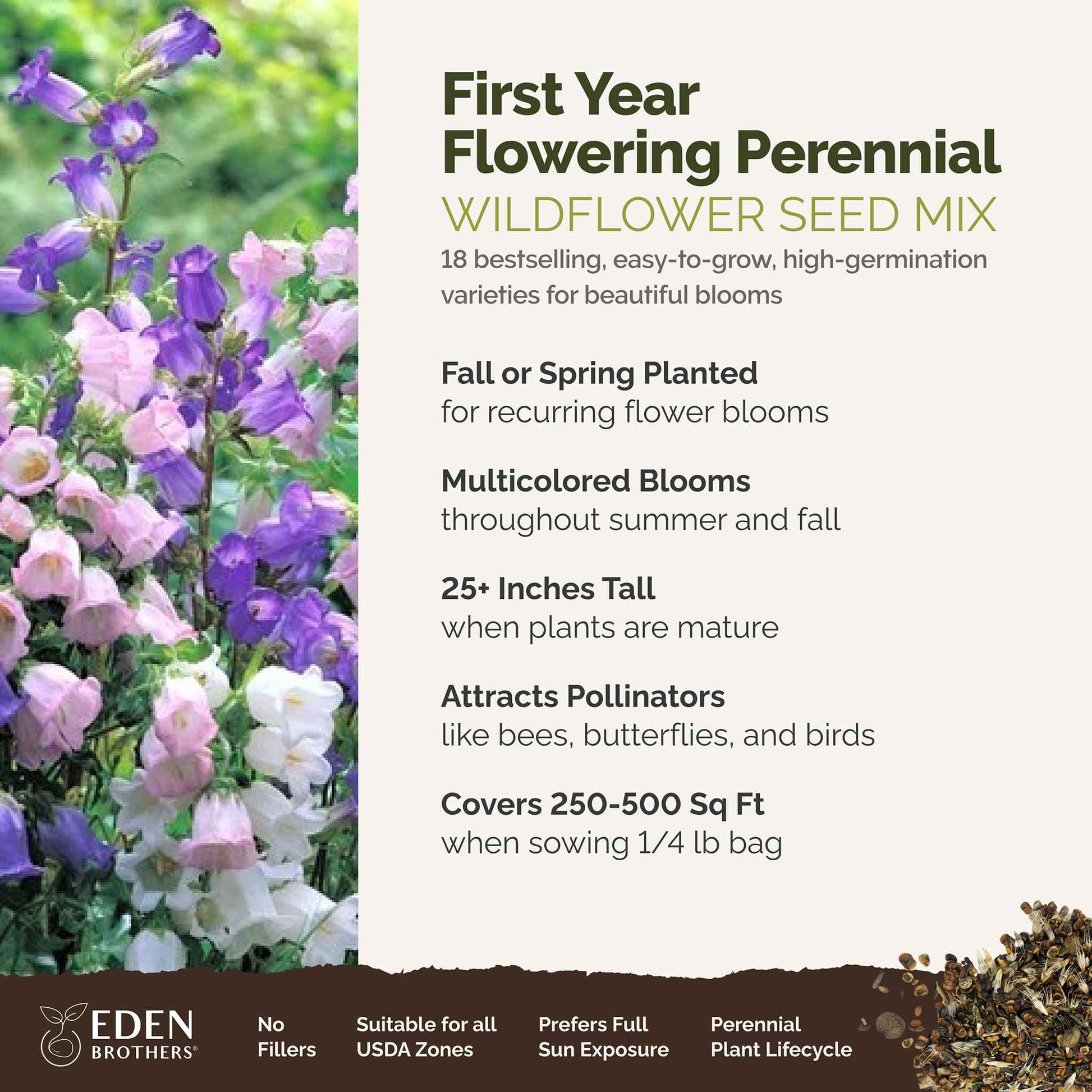 perennial seeds that flower first year Bulk First Year Flowering Perennial Wildflower Seed Mix 1/4 Pound