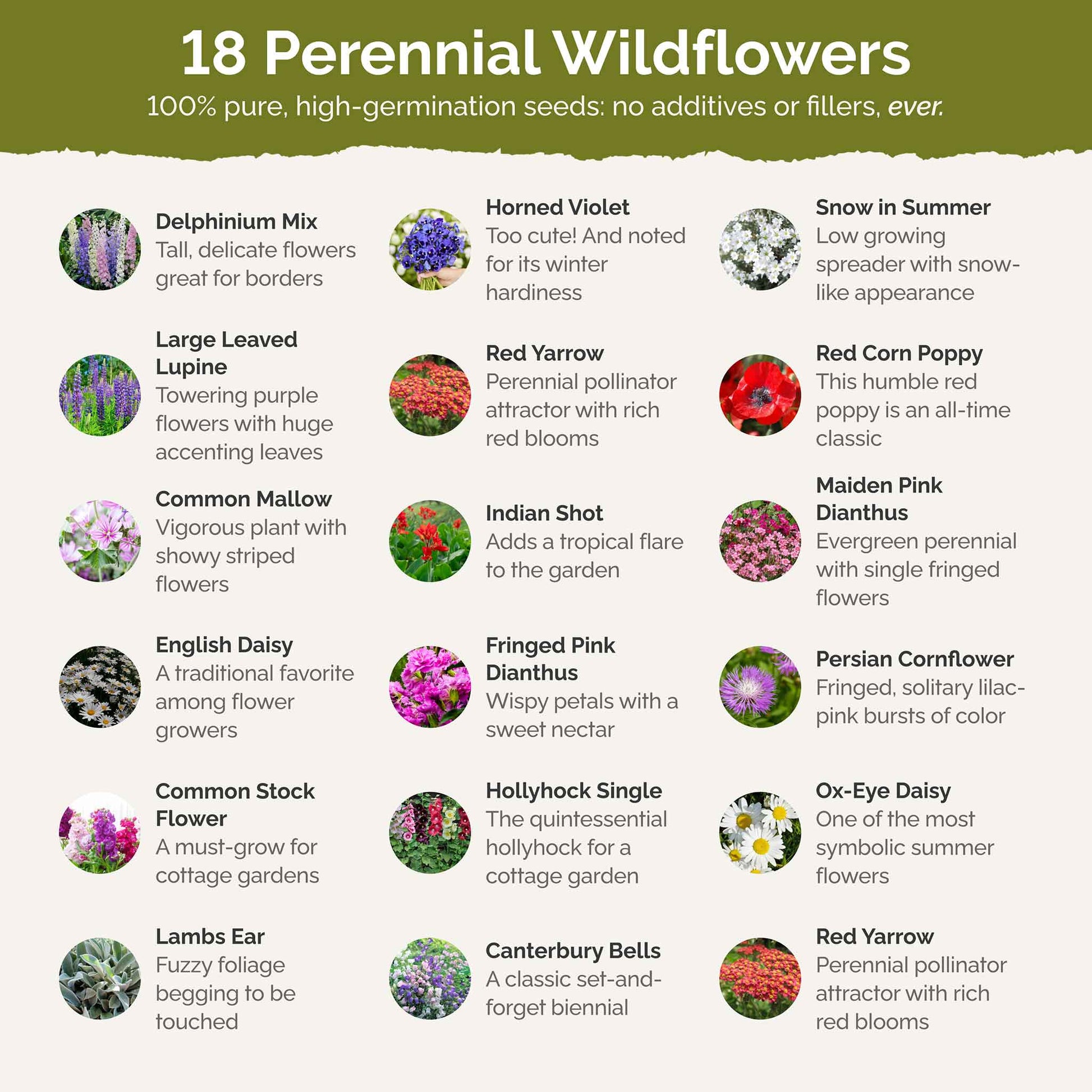 will wildflower seeds bloom the first year Bulk First Year Flowering Perennial Wildflower Seed Mix