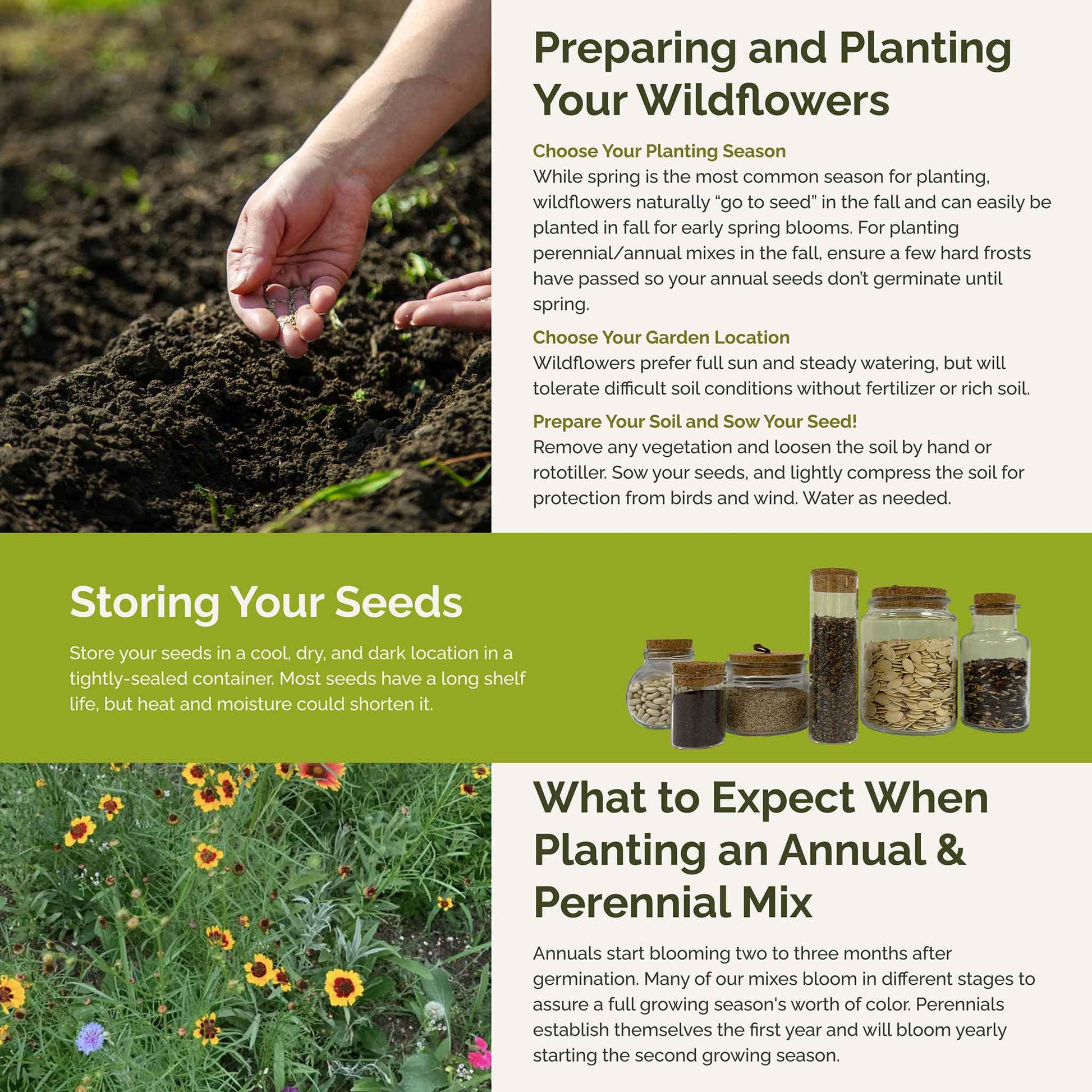 florida flower seeds Bulk Florida Wildflower Seed Mix