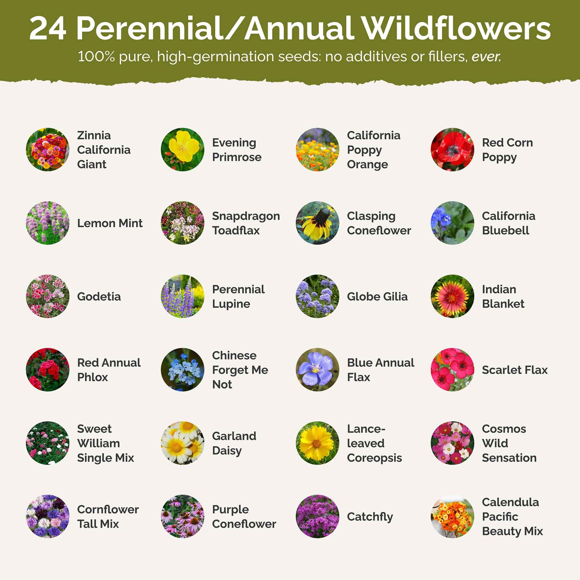 heirloom flower seed Bulk Heirloom Wildflower Seed Mix