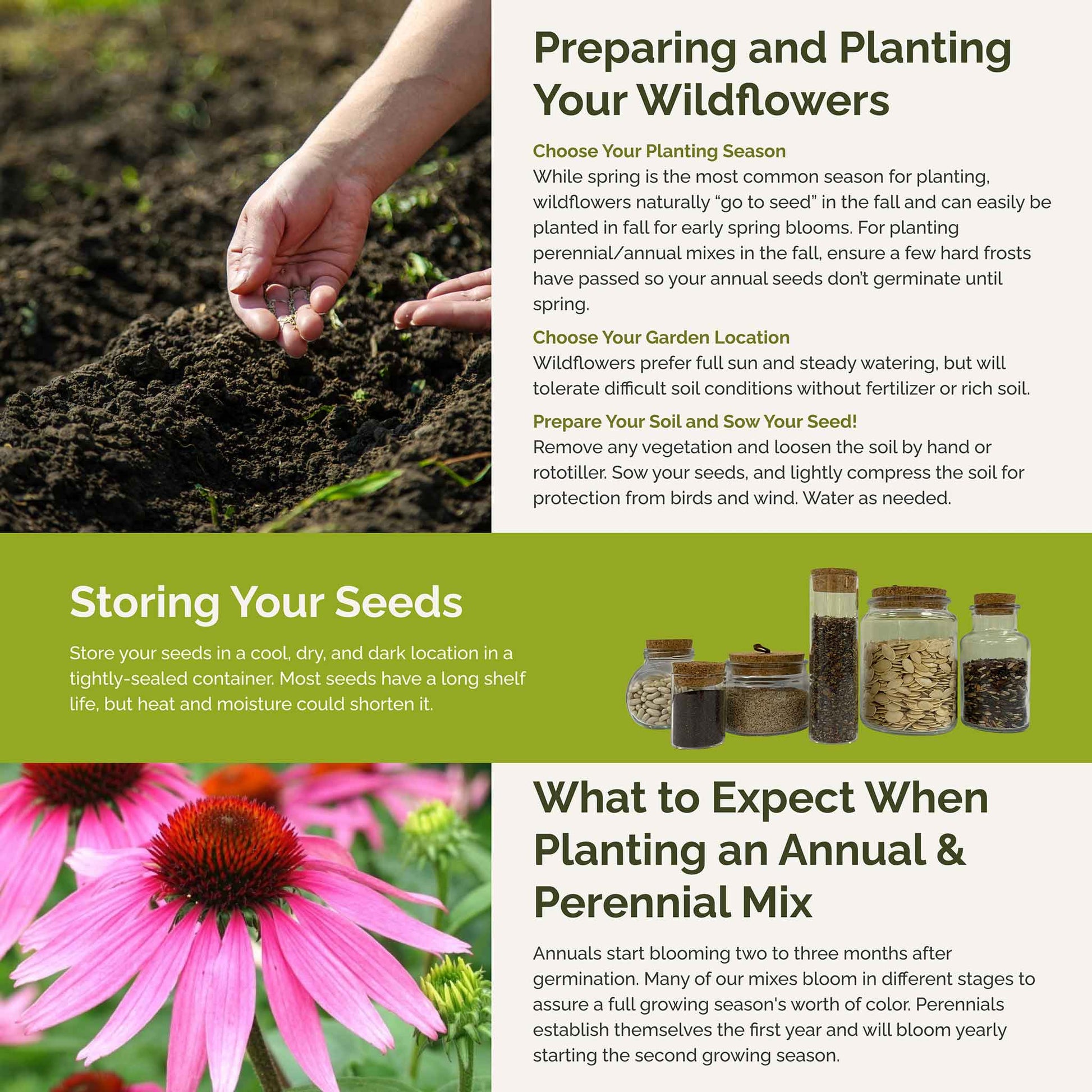 heritage wildflower seeds Bulk Heirloom Wildflower Seed Mix