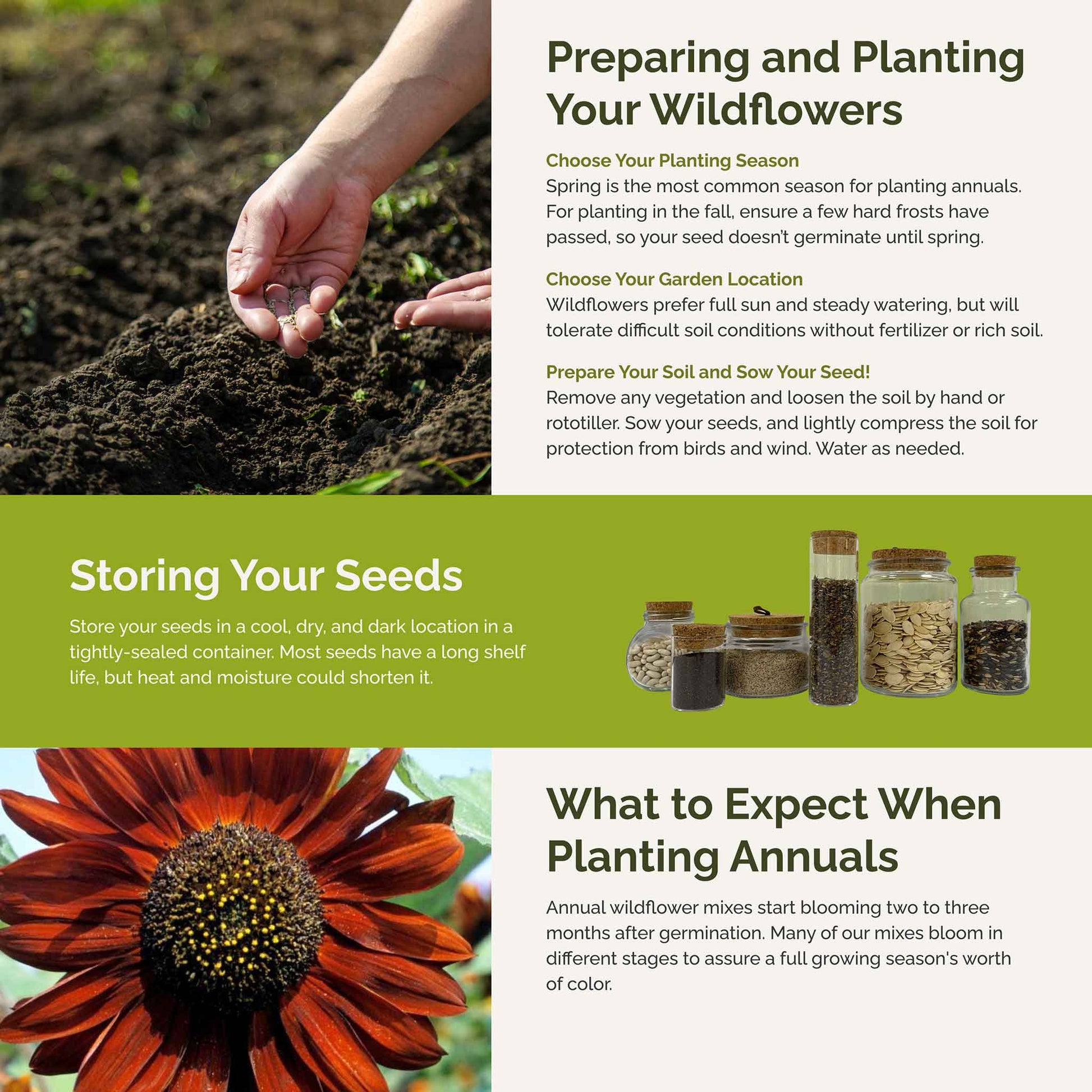 the best time to plant sunflower seeds Bulk Sunflower Seed Mix