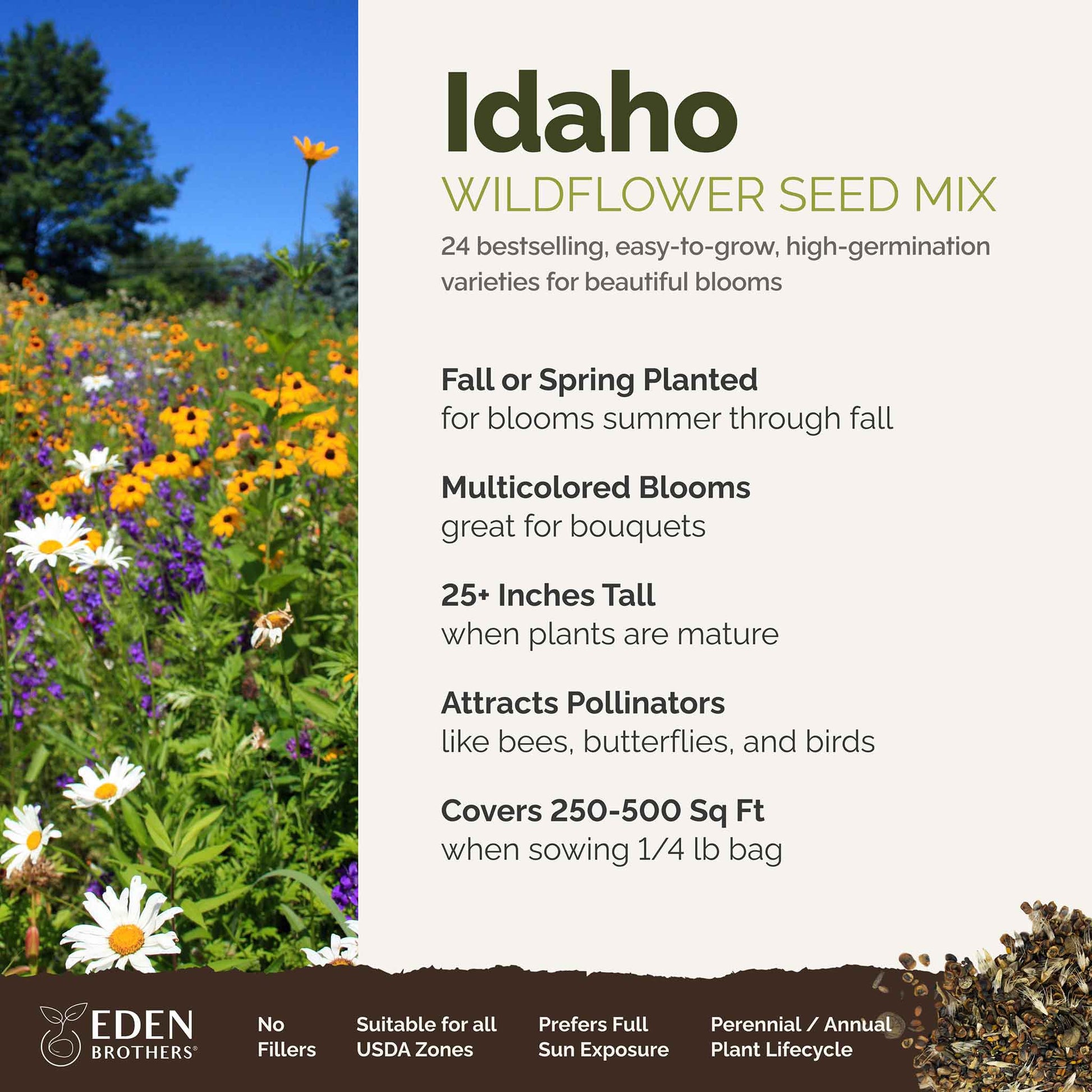 idaho wildflower seeds Idaho Wildflower Seed Mix