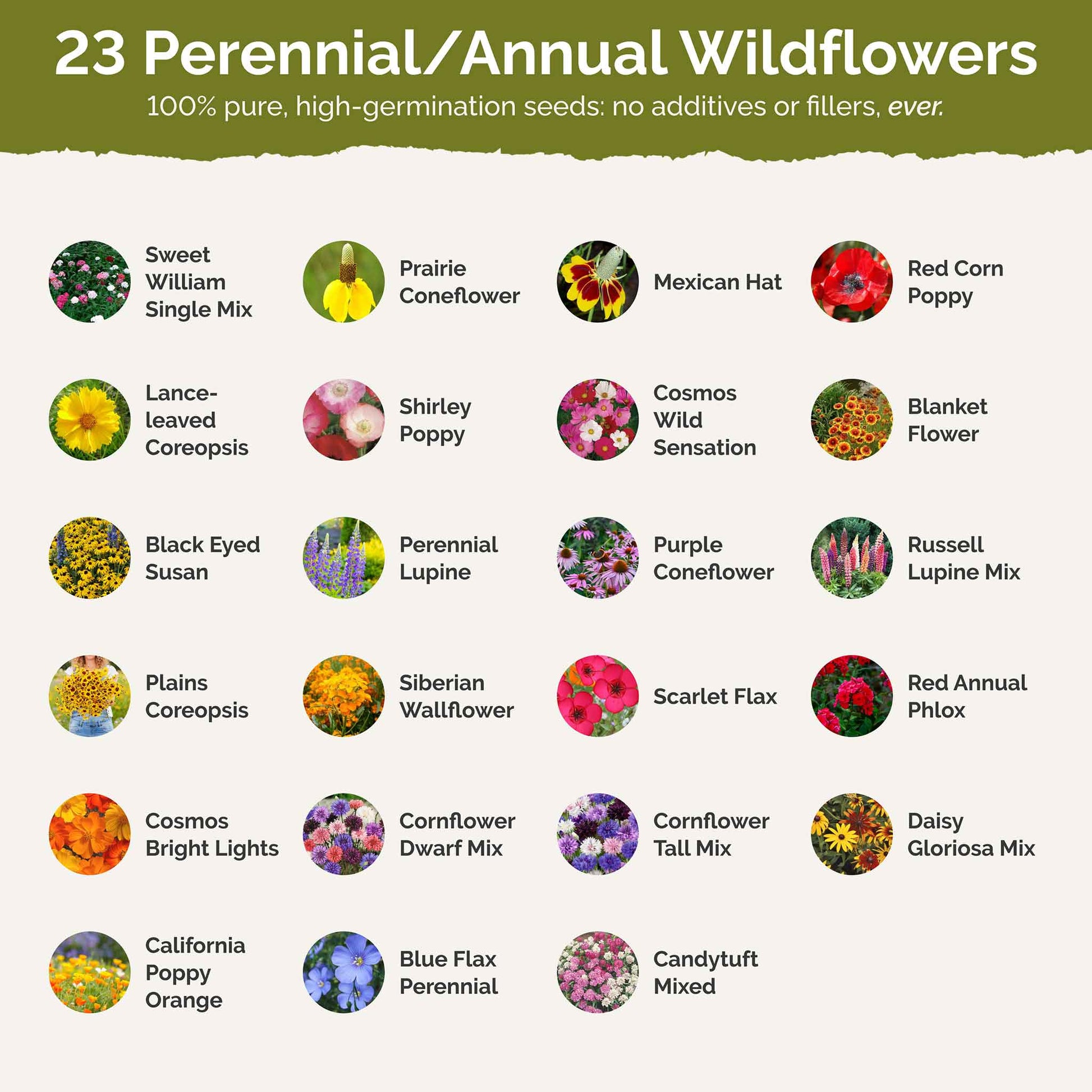wildflower seeds for iowa Iowa Wildflower Seed Mix