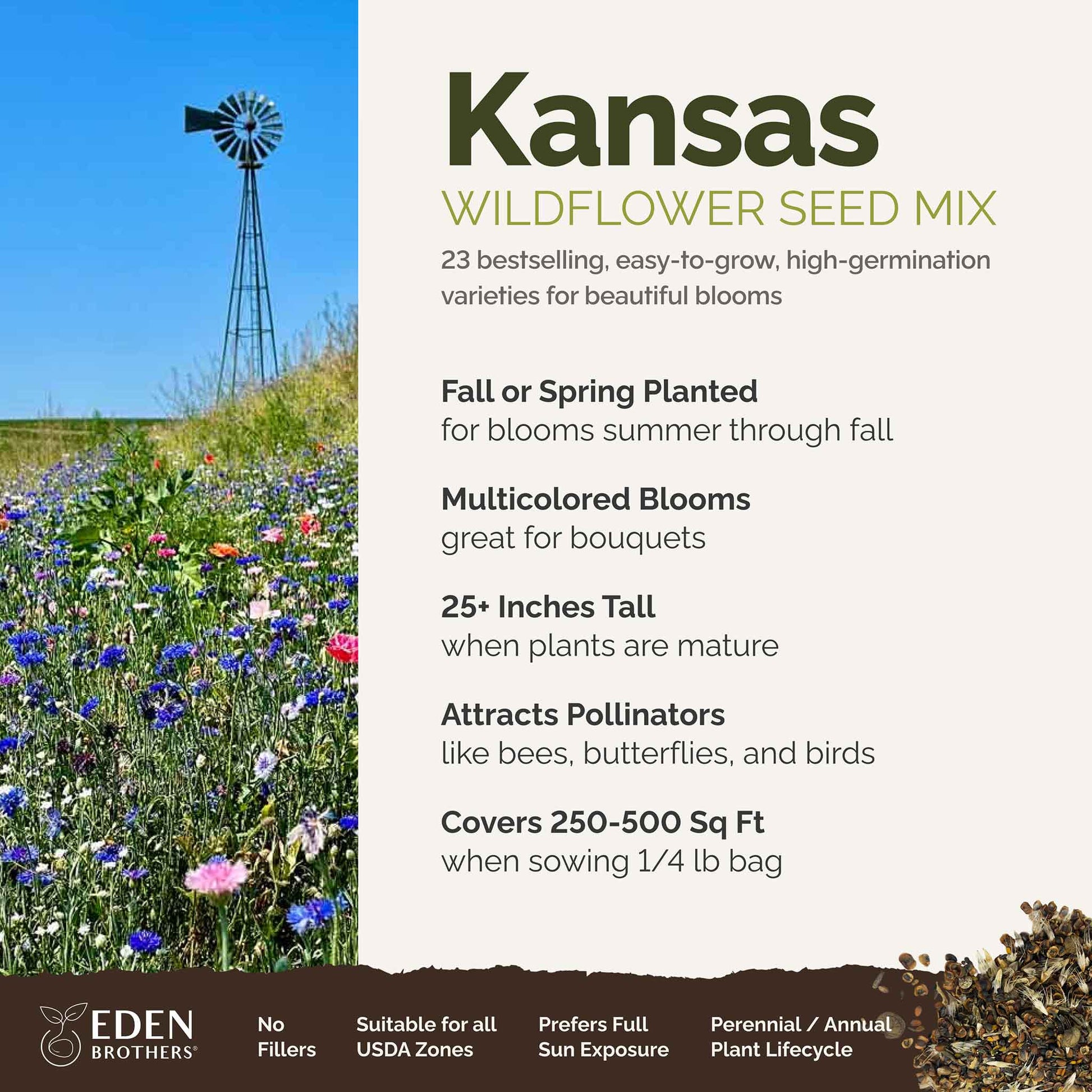 kansas native wildflower seeds Bulk Kansas Wildflower Seed Mix