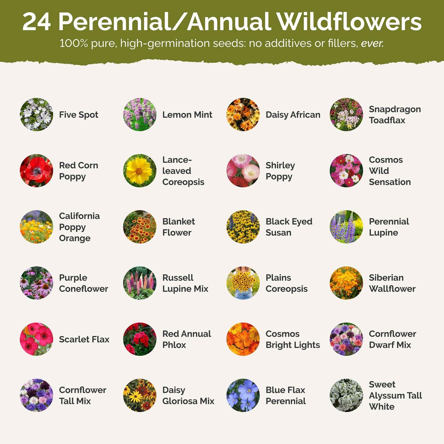 kentucky native wildflower seeds Bulk Kentucky Wildflower Seed Mix 1 Ounce
