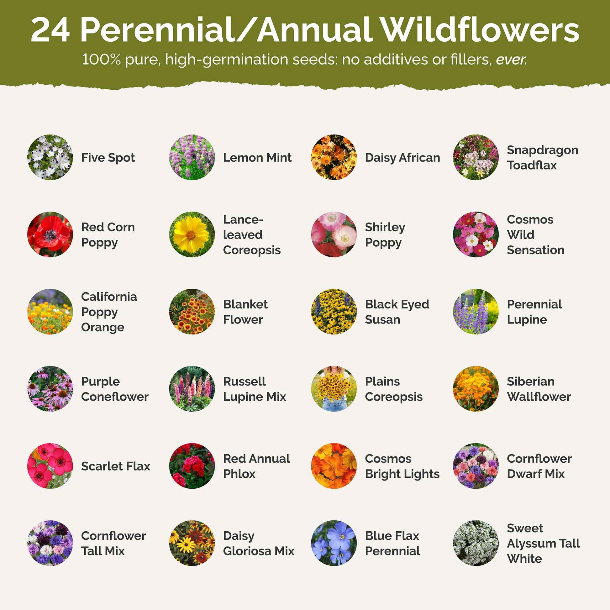 ky wildflower seeds Bulk Kentucky Wildflower Seed Mix 1 Ounce