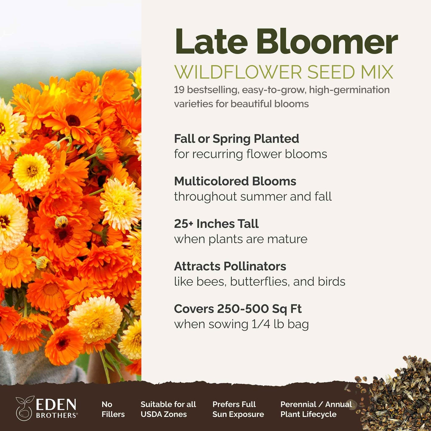 fall blooming wildflower seeds Bulk Late Bloomer Wildflower Seed Mix