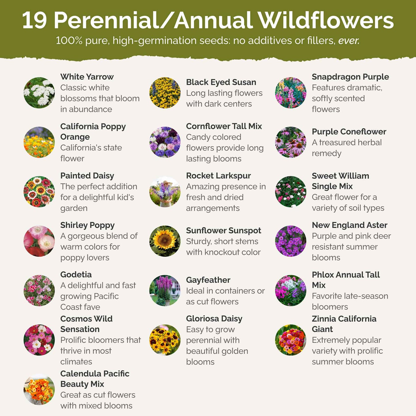 late summer wildflower seeds Bulk Late Bloomer Wildflower Seed Mix