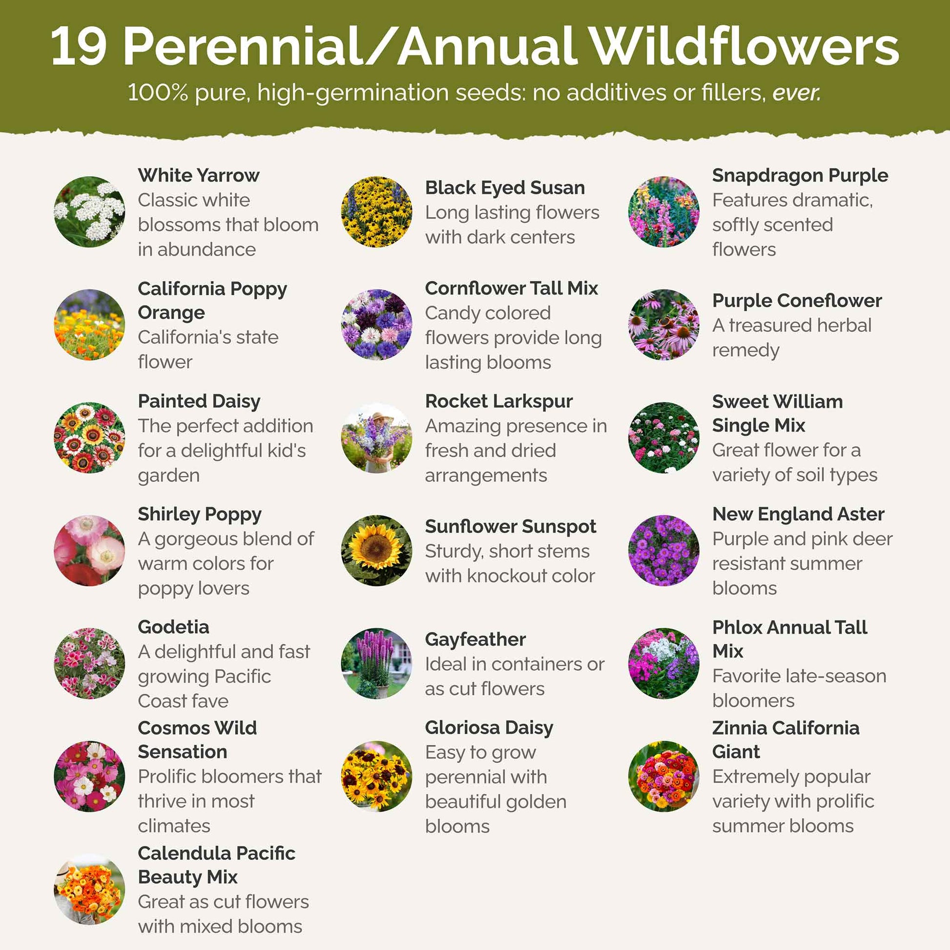 fast blooming flower seeds Bulk Late Bloomer Wildflower Seed Mix