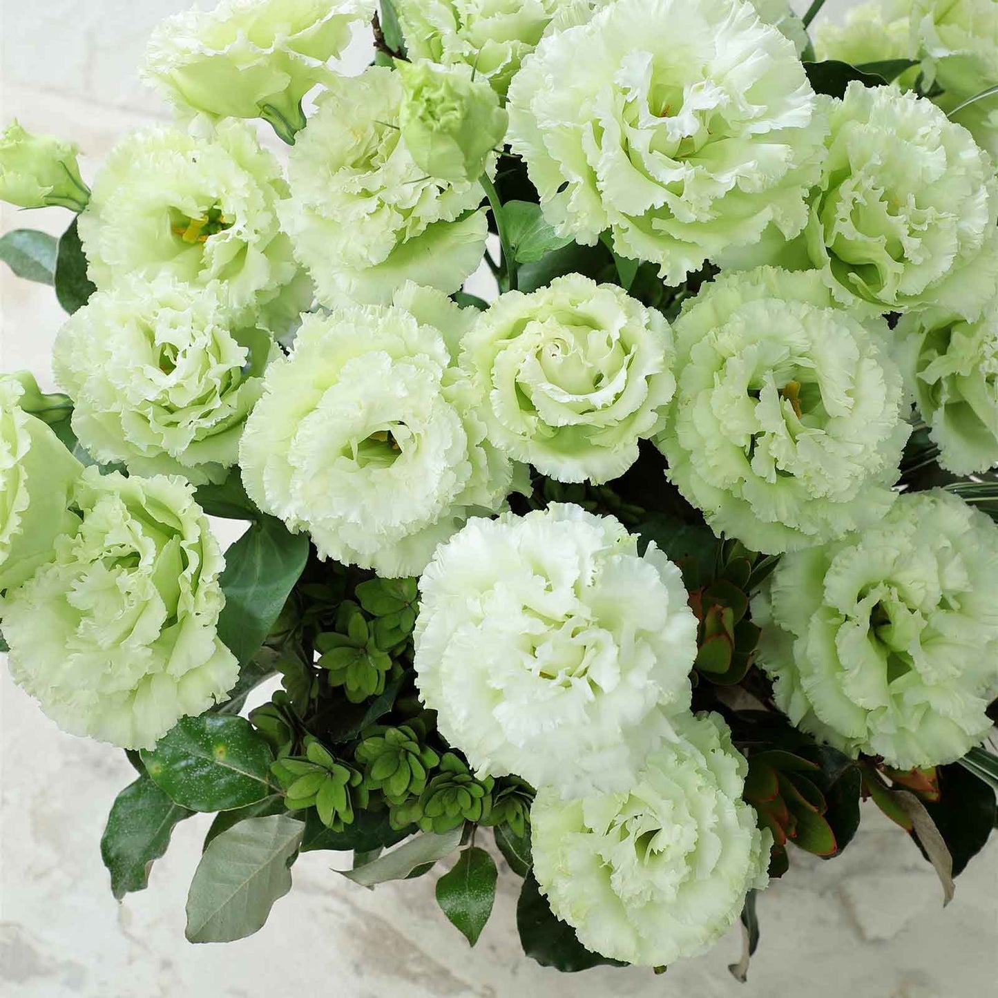 lithiasis flower seeds Lisianthus Seeds - Voyage Green | Bulk Flower Seeds