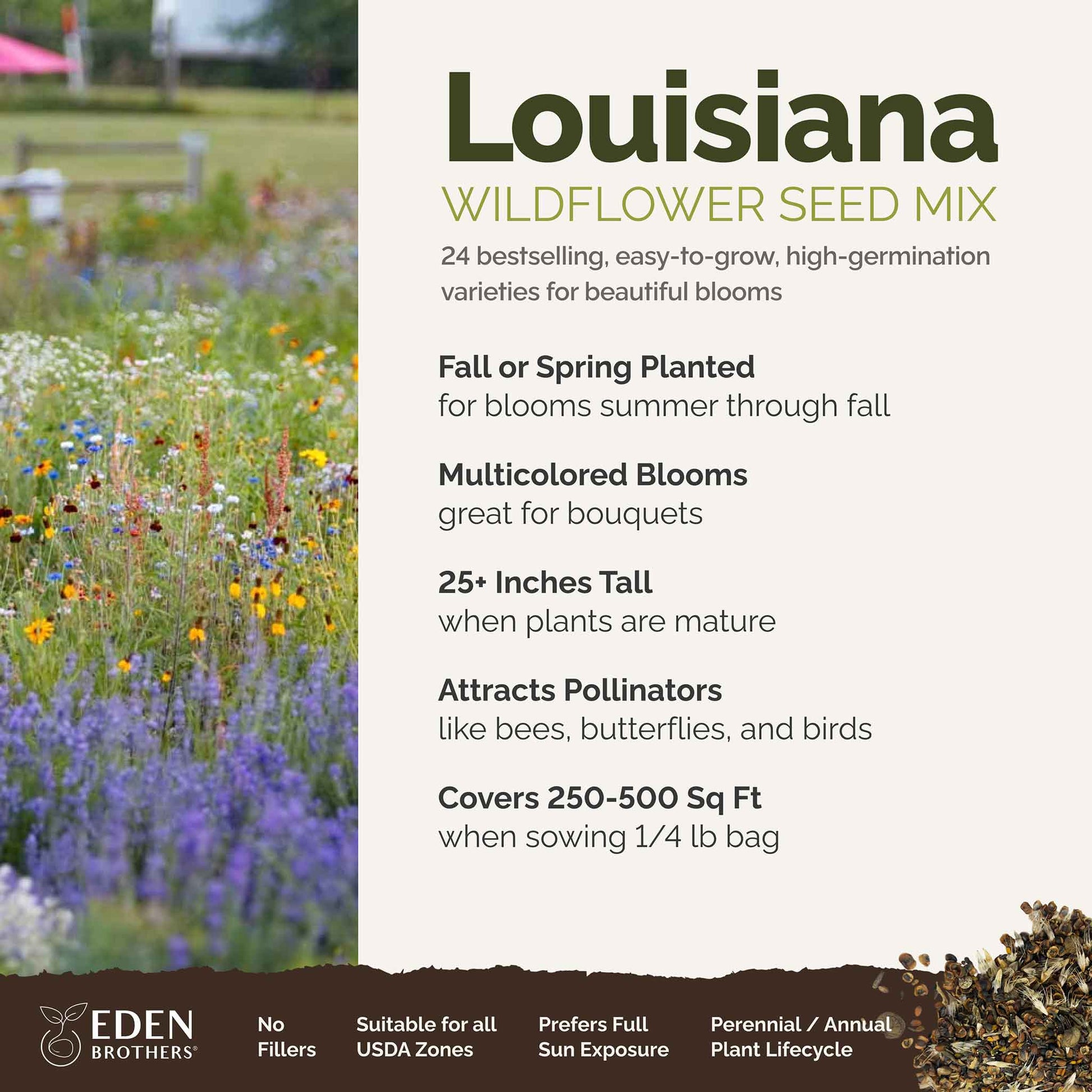 local wildflower seeds Louisiana Wildflower Seed Mix