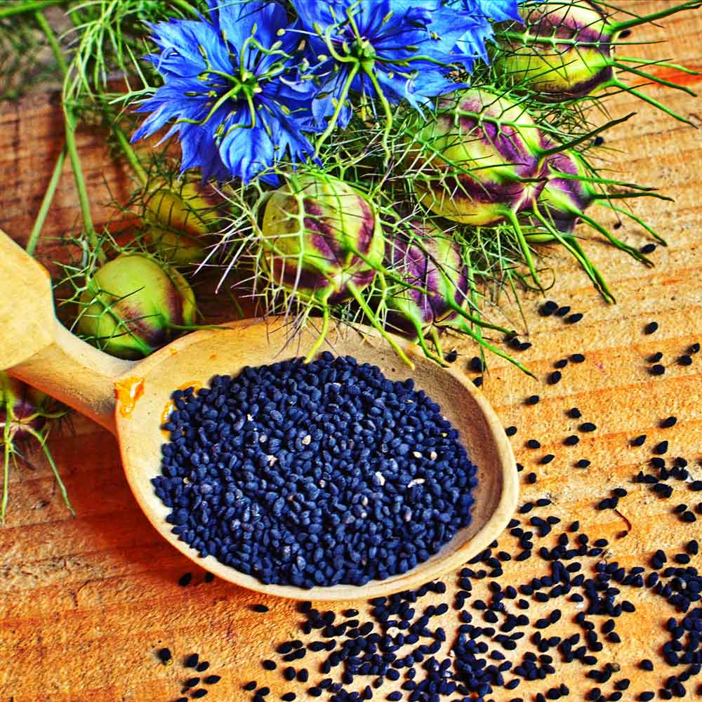 Bulk Love in a Mist Seeds