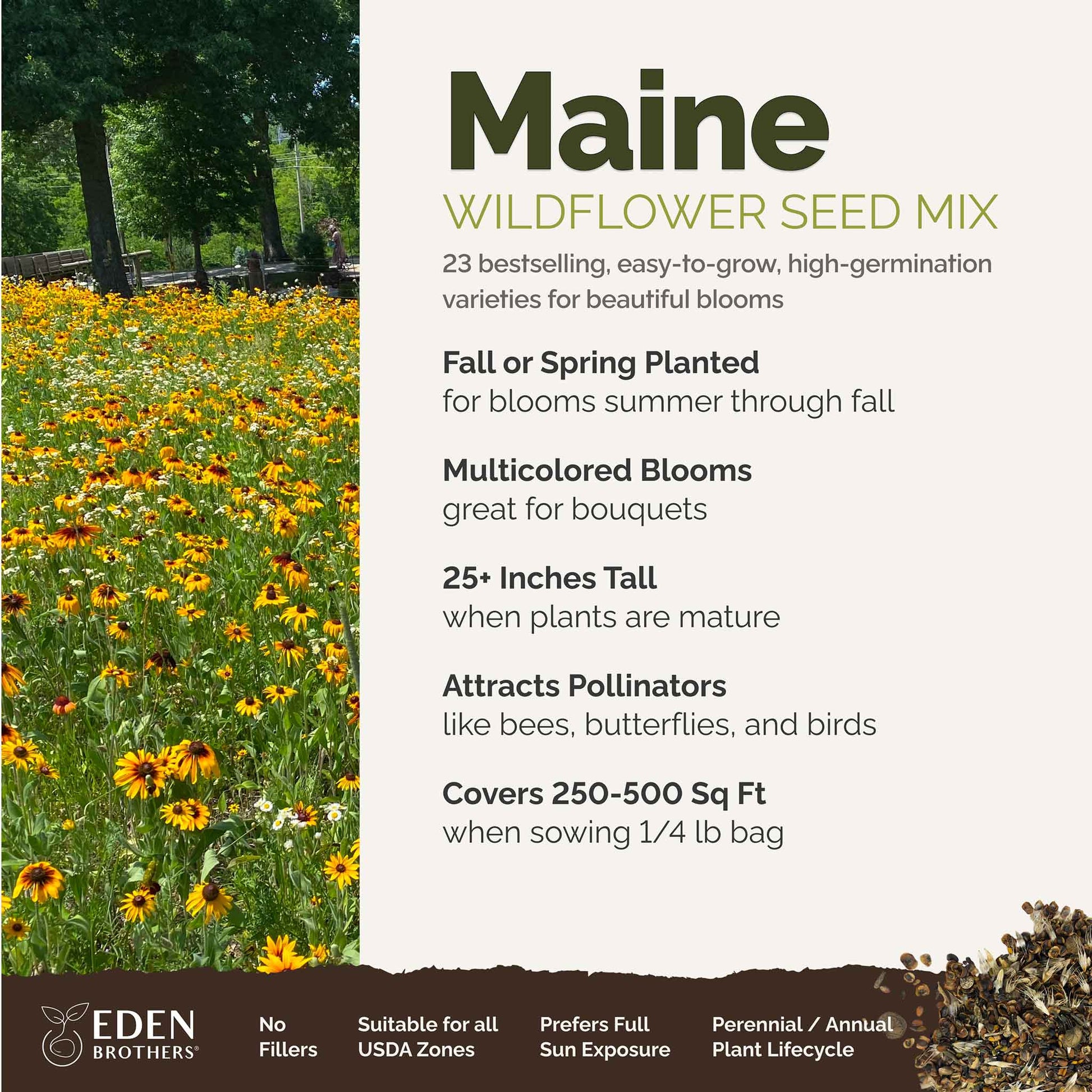 maine wildflower seed mix Bulk Maine Wildflower Seed Mix