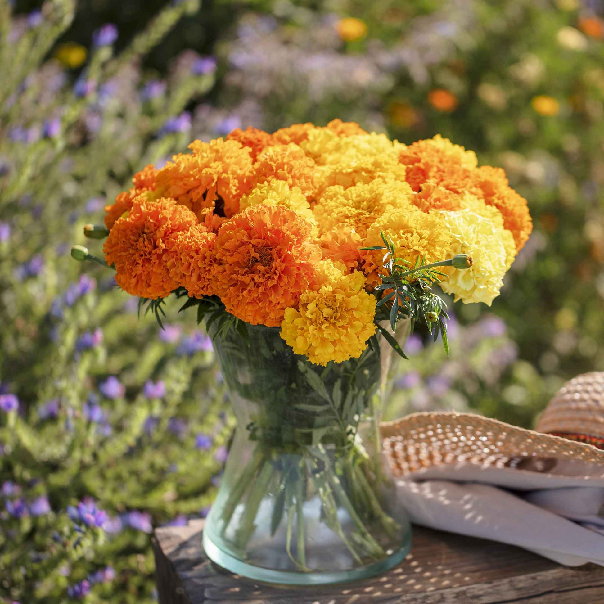 marigold seeds near me Bulk African Marigold Seeds
