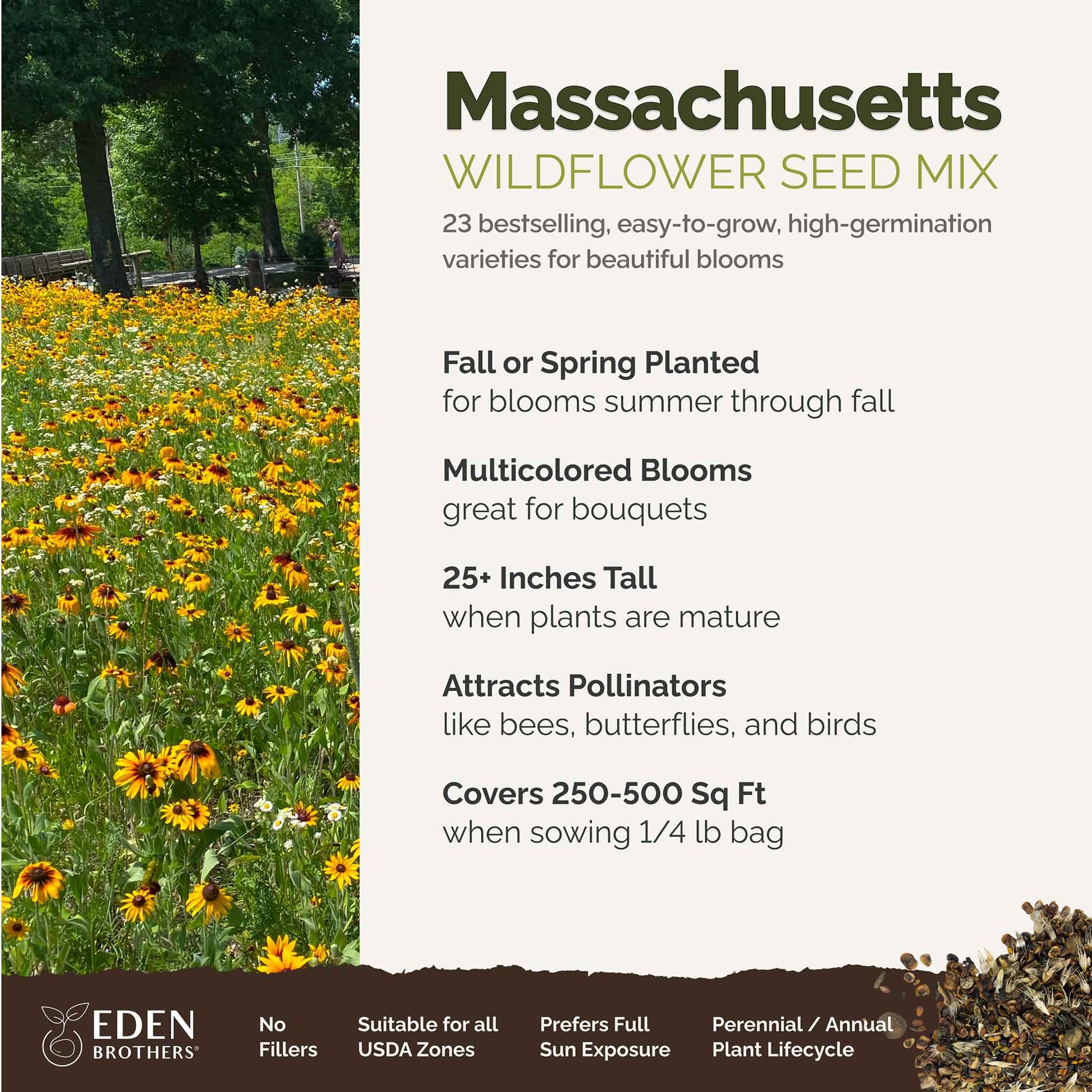 boston wildflower seeds Bulk Massachusetts Wildflower Seed Mix 1/4 Pound