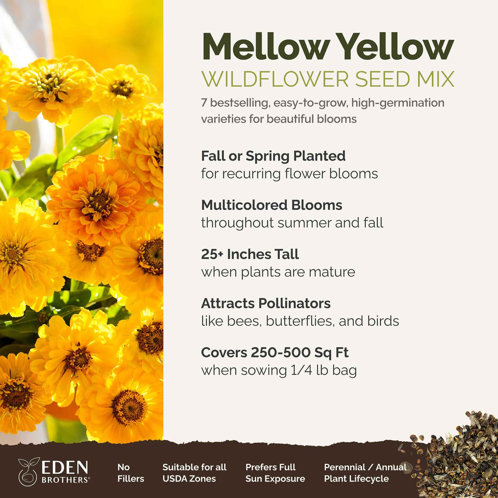 flower seed sales Bulk Yellow Flower Seed Mix