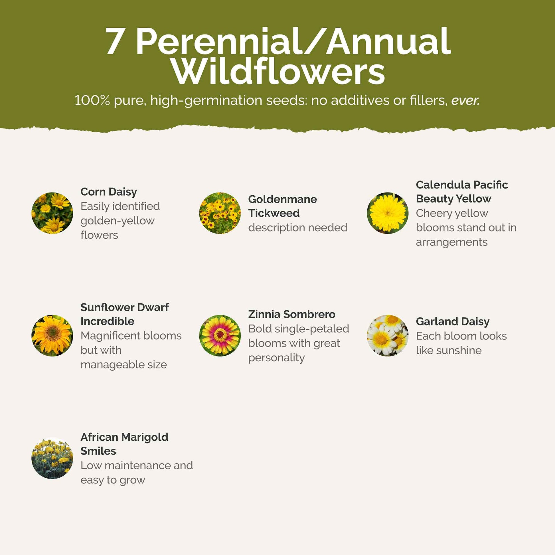 flower seed name Bulk Yellow Flower Seed Mix