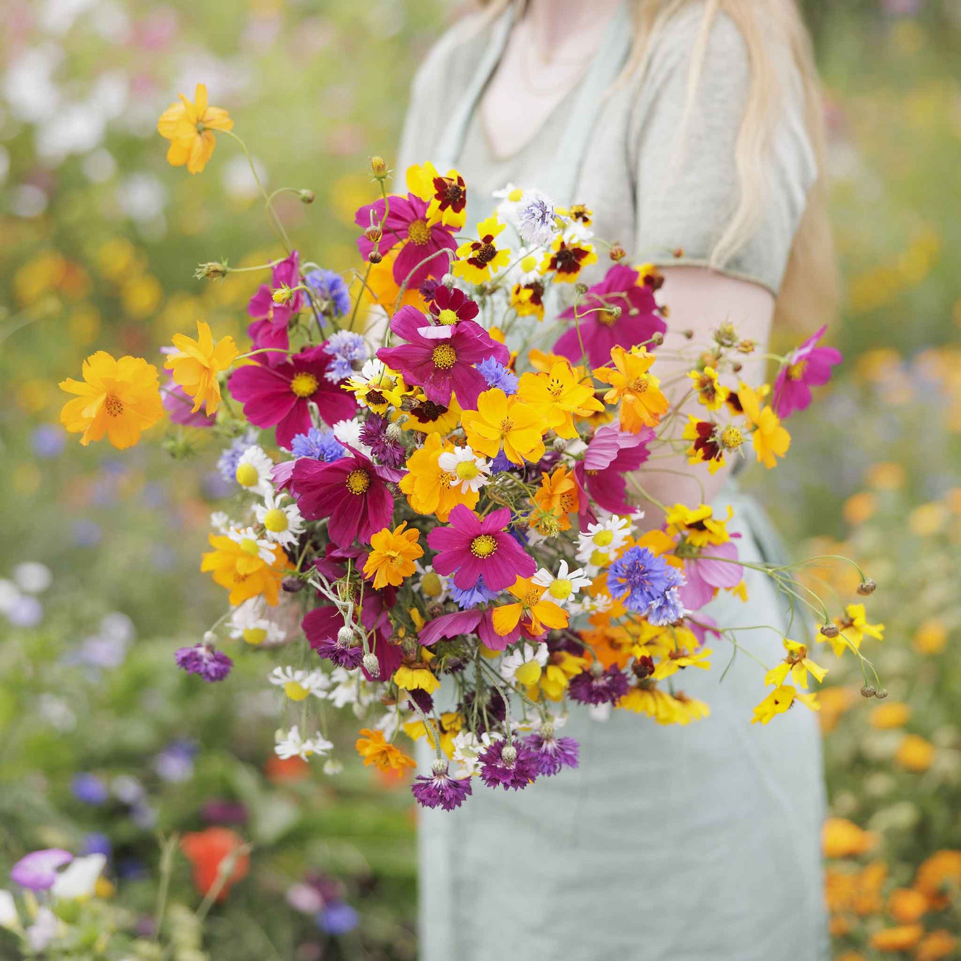 wildflower seed coverage Bulk Midwest Wildflower Seed Mix 25 Pounds