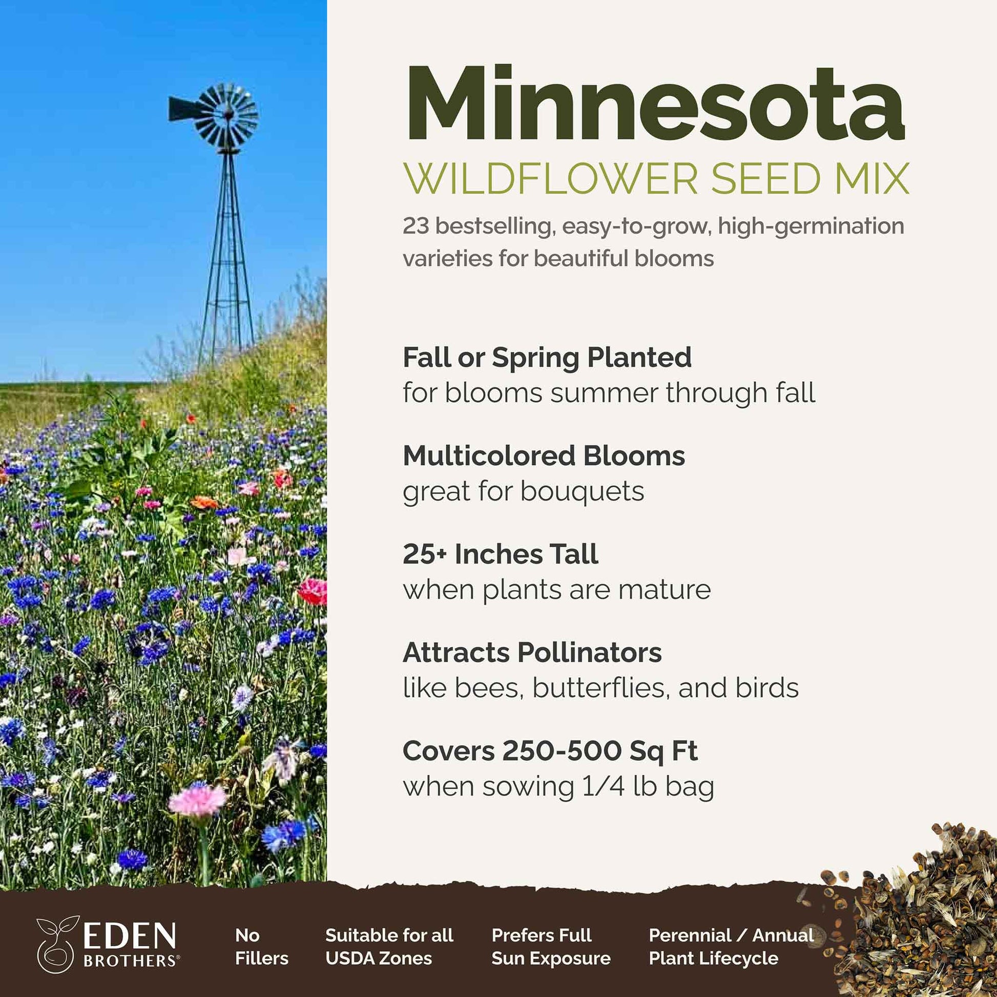 wildflower seeds minnesota Minnesota Wildflower Seed Mix