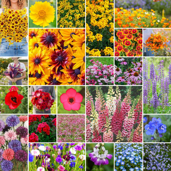 garden state parkway wildflower seeds Bulk Pacific Northwest Wildflower Seed Mix