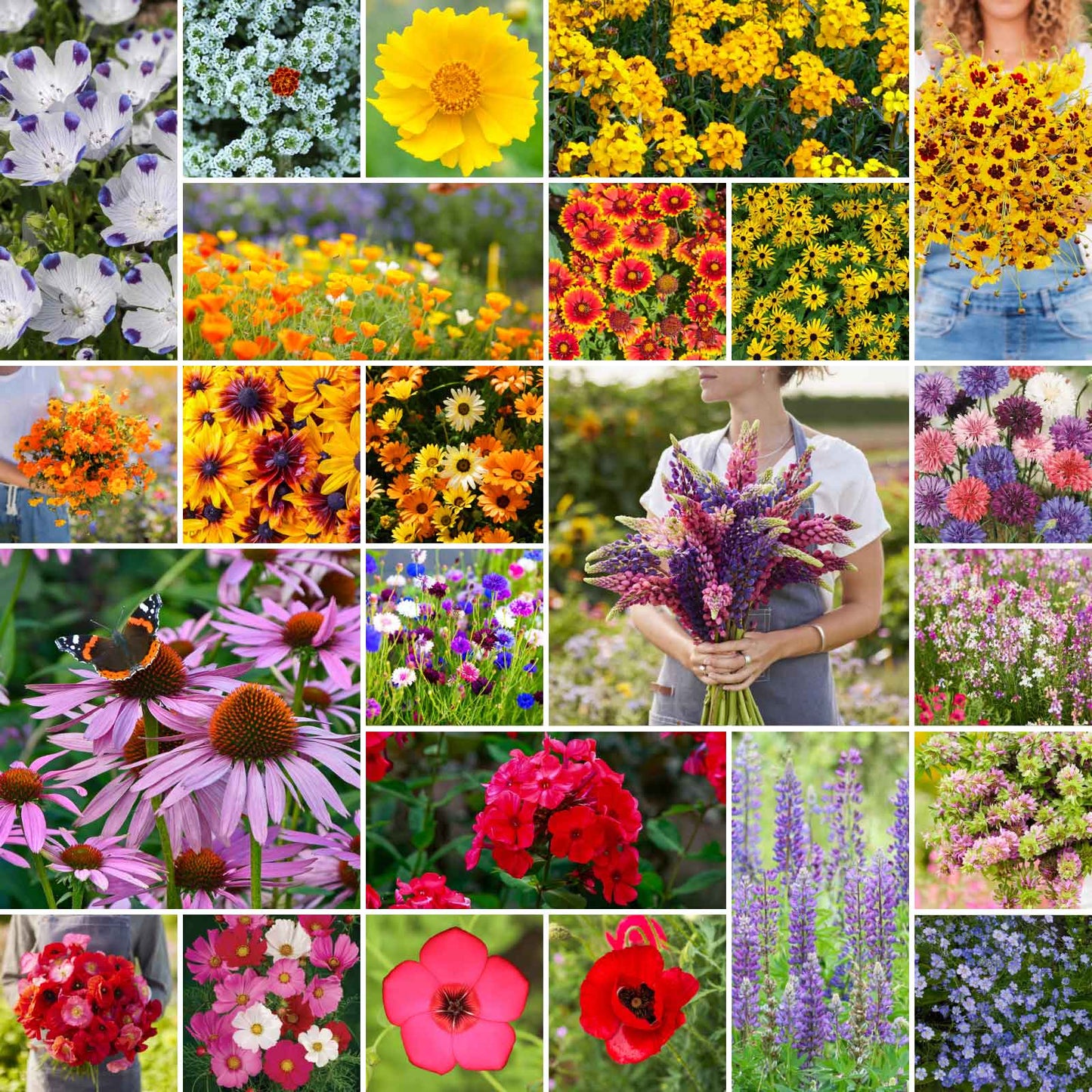 prairie flower seed mix Bulk Southeast Wildflower Seed Mix
