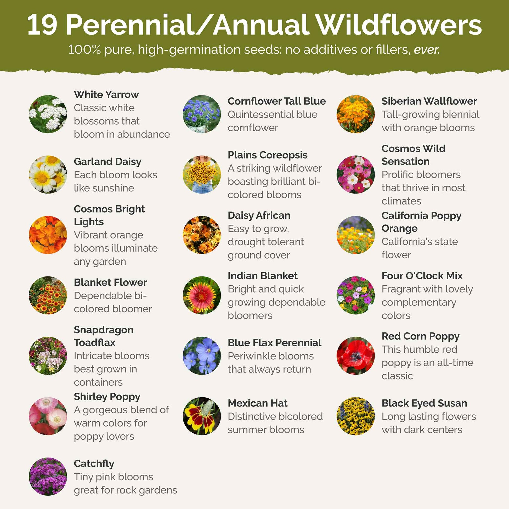 nevada wildflower seeds Nevada Wildflower Seed Mix