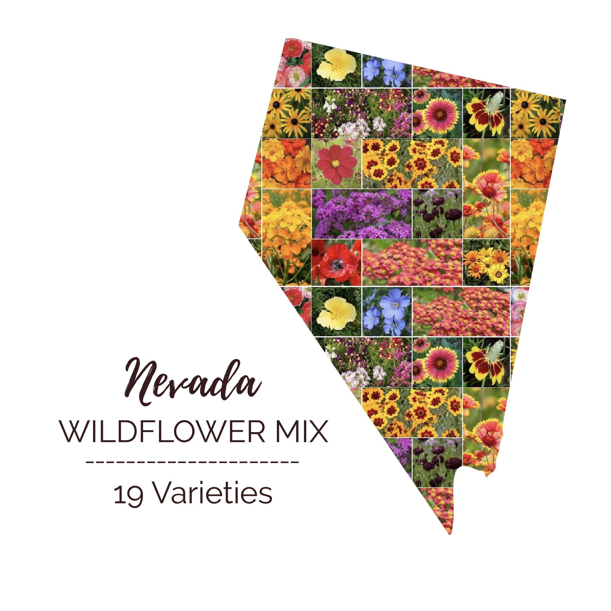 sierra nevada wildflower seeds Nevada Wildflower Seed Mix