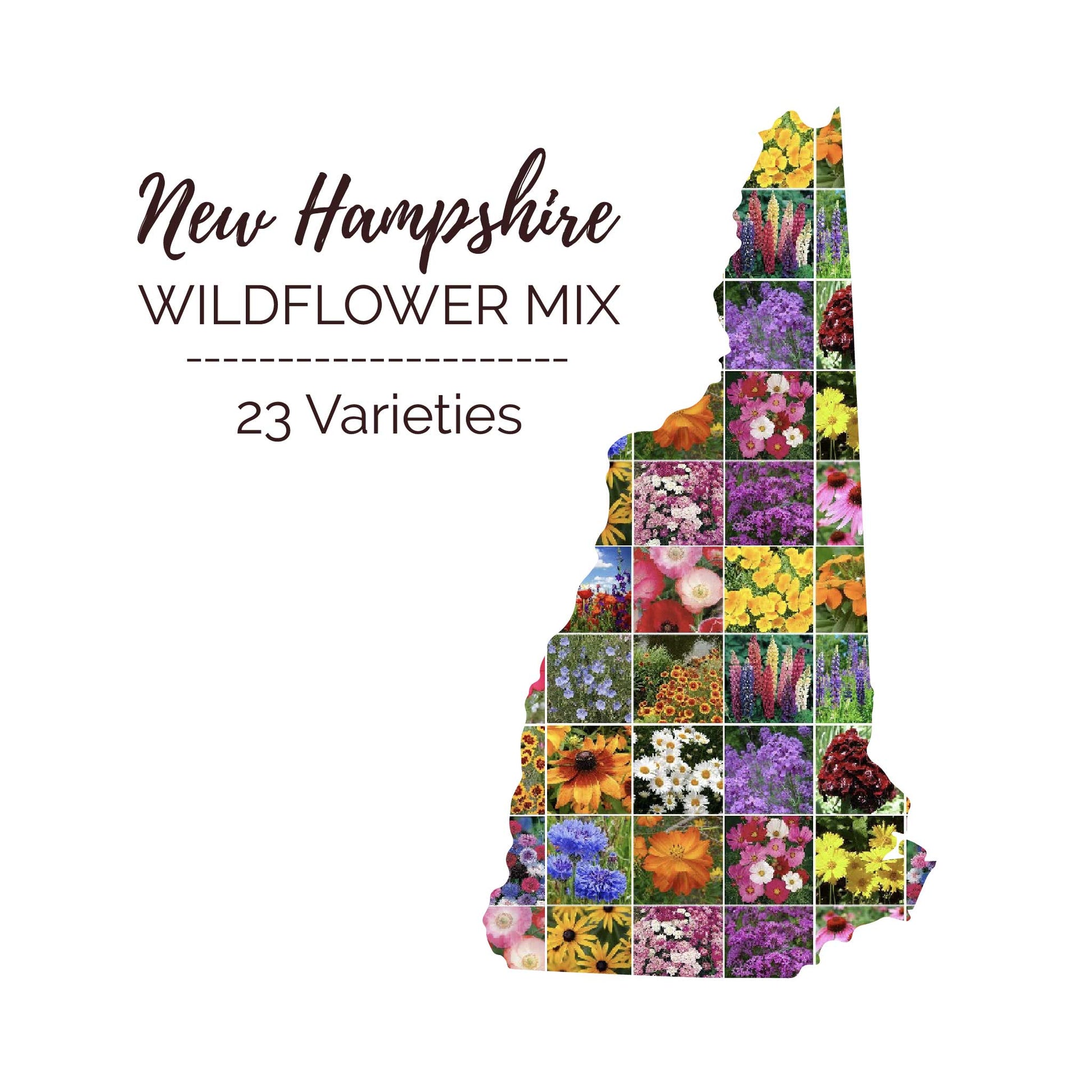 wildflower seeds new england Bulk New Hampshire Wildflower Seed Mix 1 Pound