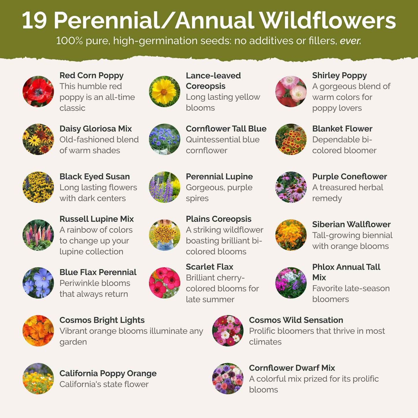 new jersey wildflower seed mix Bulk New Jersey Wildflower Seed Mix