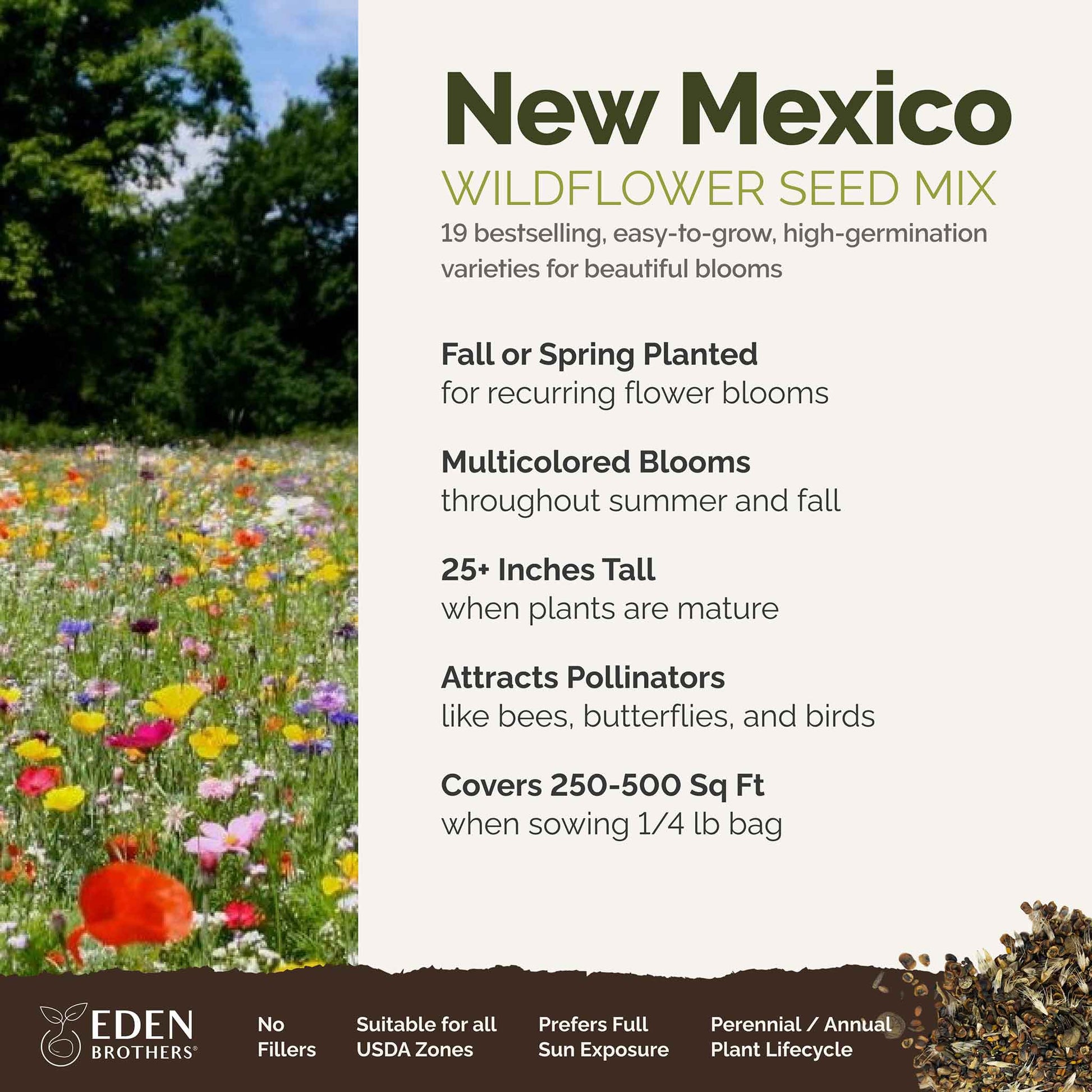 new mexico wildflower seeds Bulk New Mexico Wildflower Seed Mix 1/4 Pound