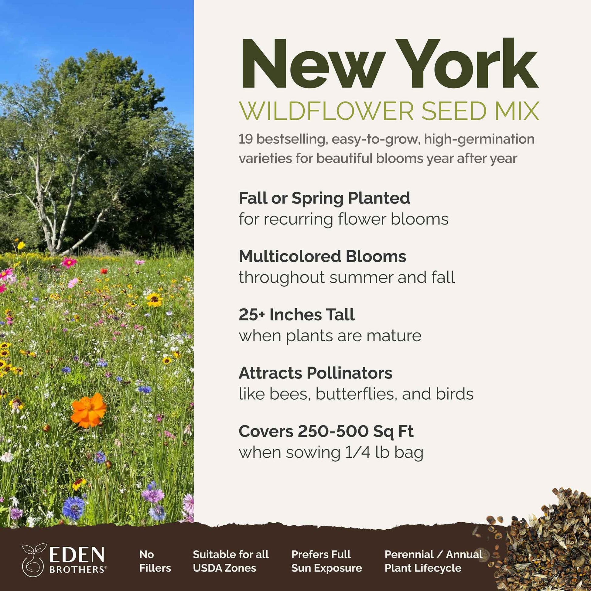 where to sow wildflower seeds Bulk New York Wildflower Seed Mix
