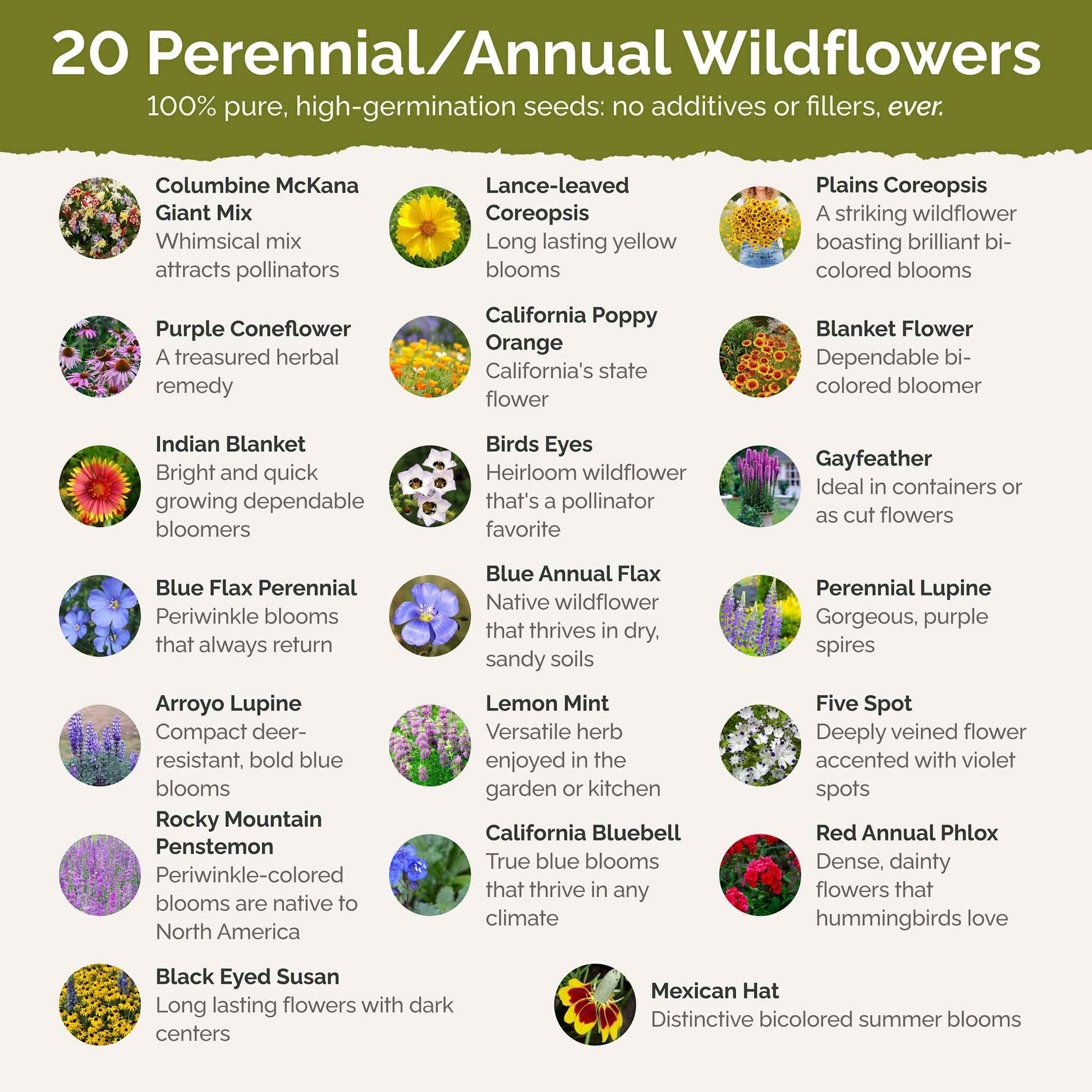 native non invasive wildflower seeds Bulk North American Native Wildflower Seed Mix 1/4 Pound