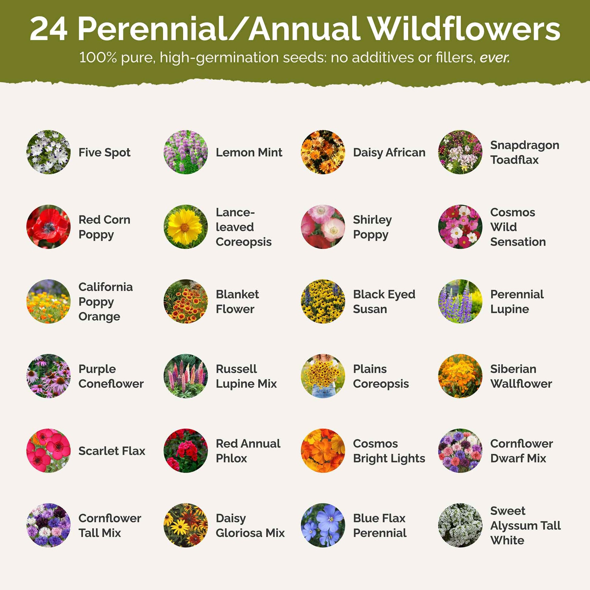 north carolina wild flower seeds Bulk North Carolina Wildflower Seed Mix 1 Pound