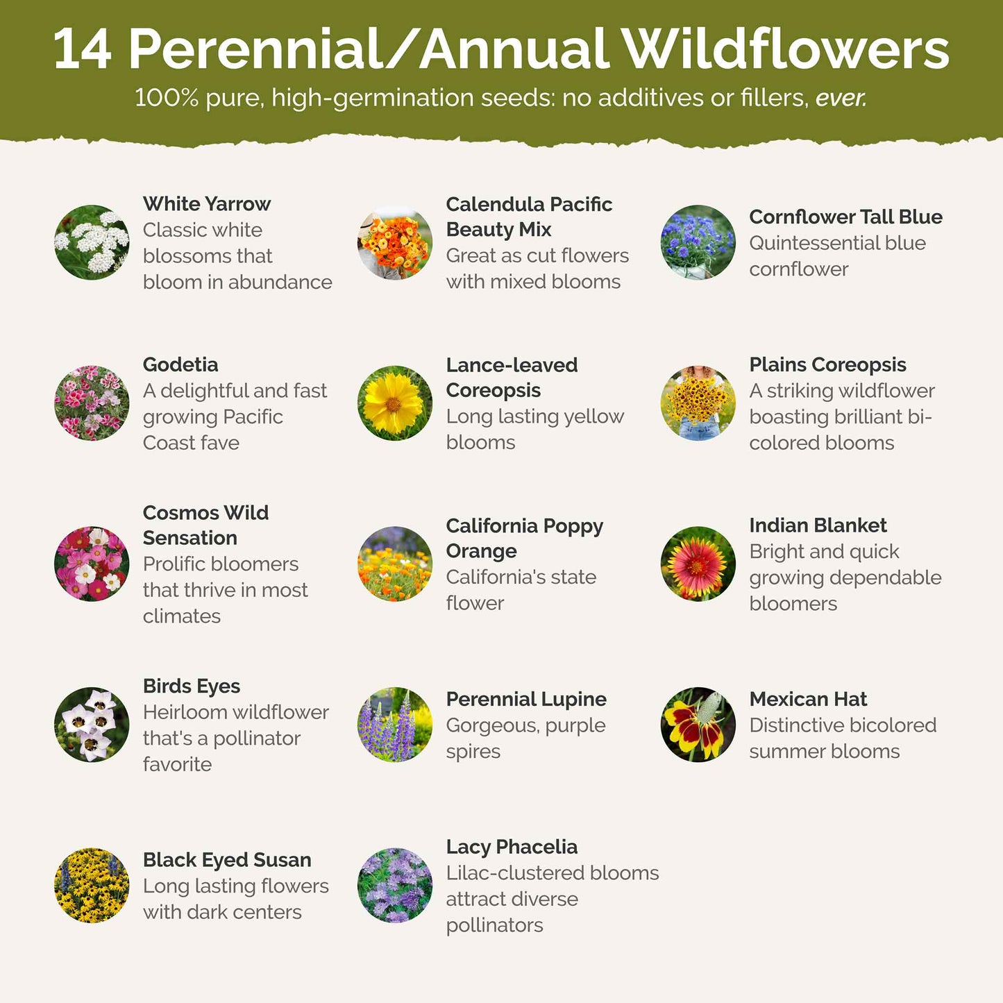 north dakota garden seeds North Dakota Wildflower Seed Mix